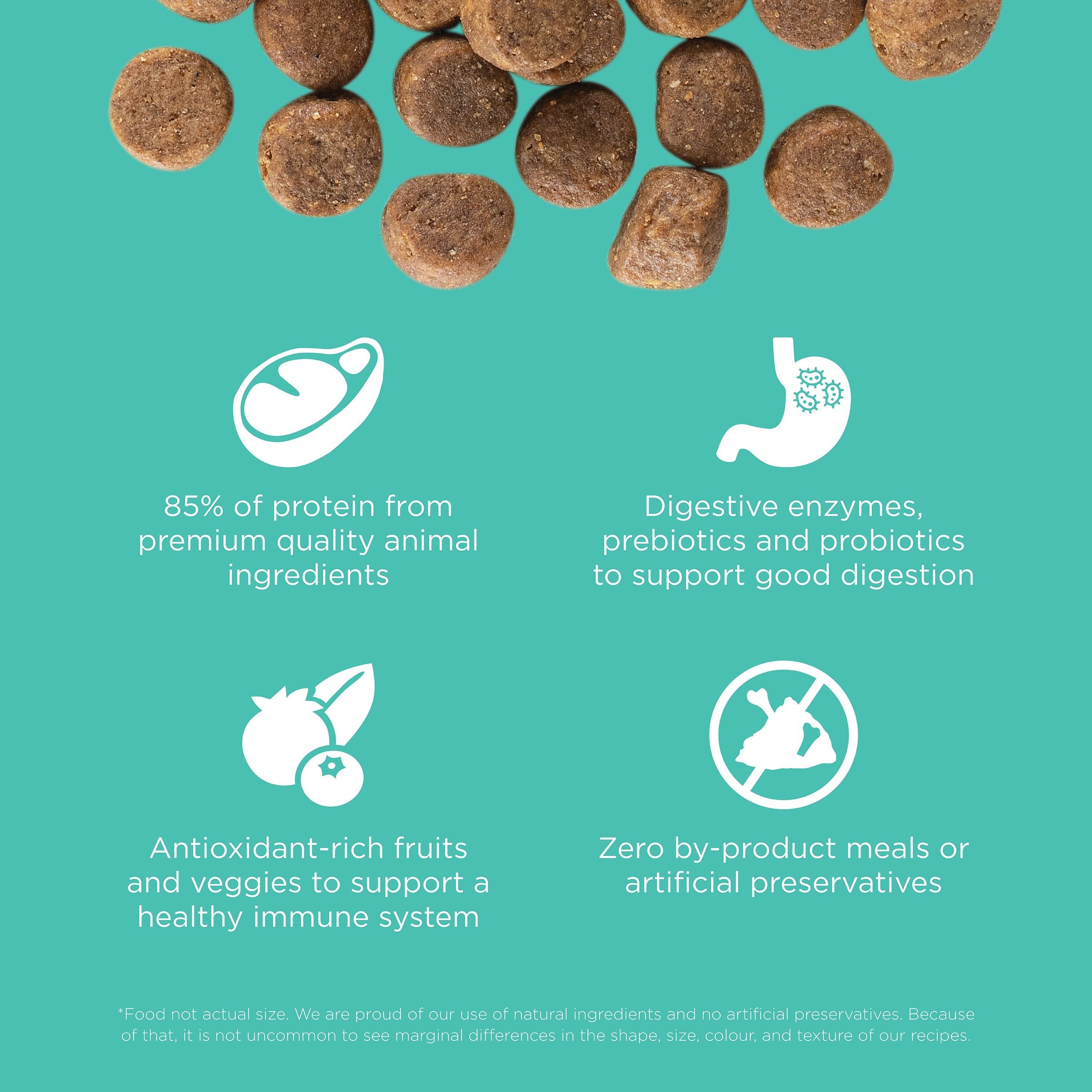 GO! SOLUTIONS CARNIVORE GF Chicken, Turkey + Duck  Adult Recipe | 1.6kg