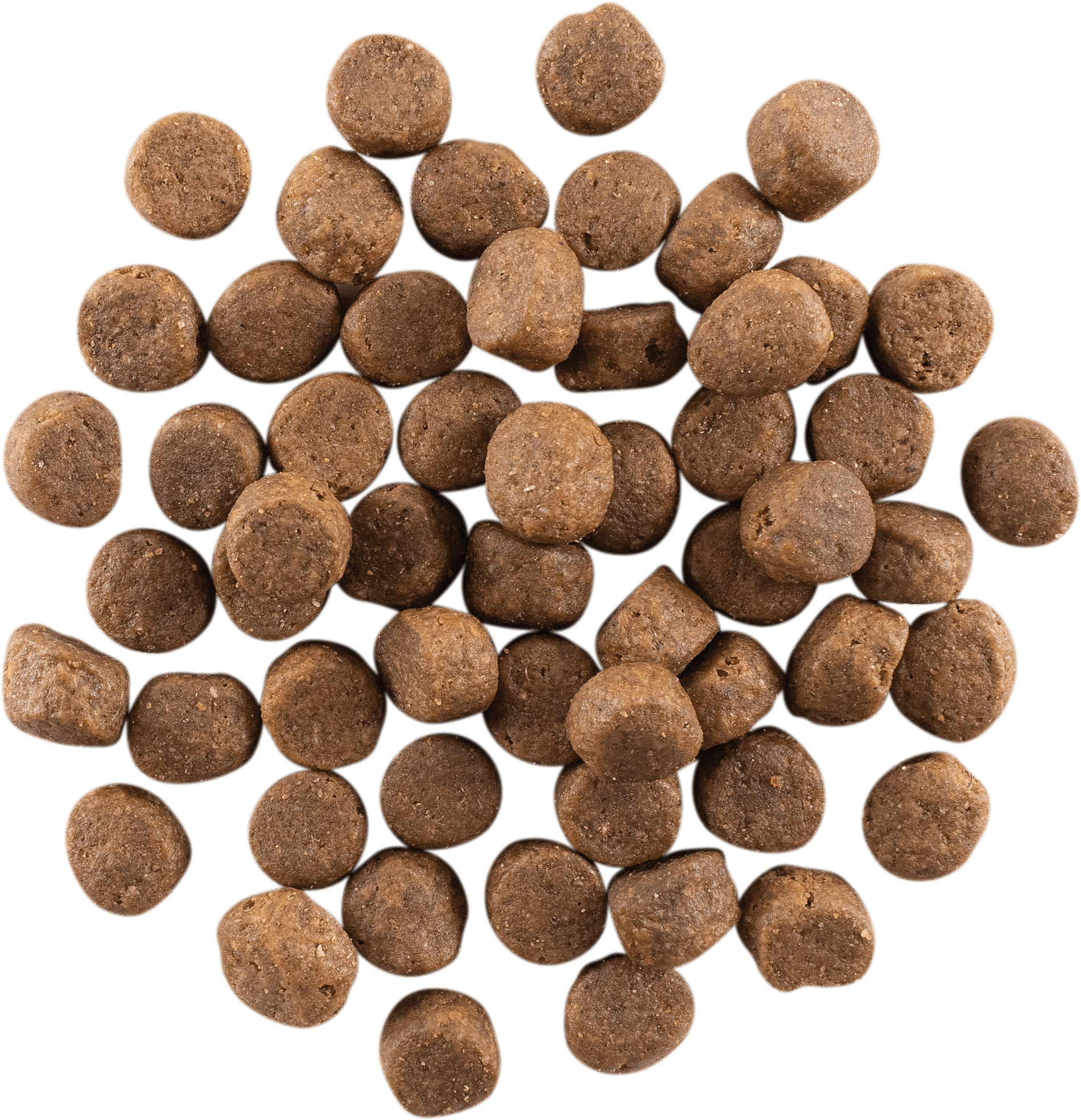 GO! SOLUTIONS CARNIVORE GF Chicken, Turkey + Duck  Adult Recipe | 1.6kg