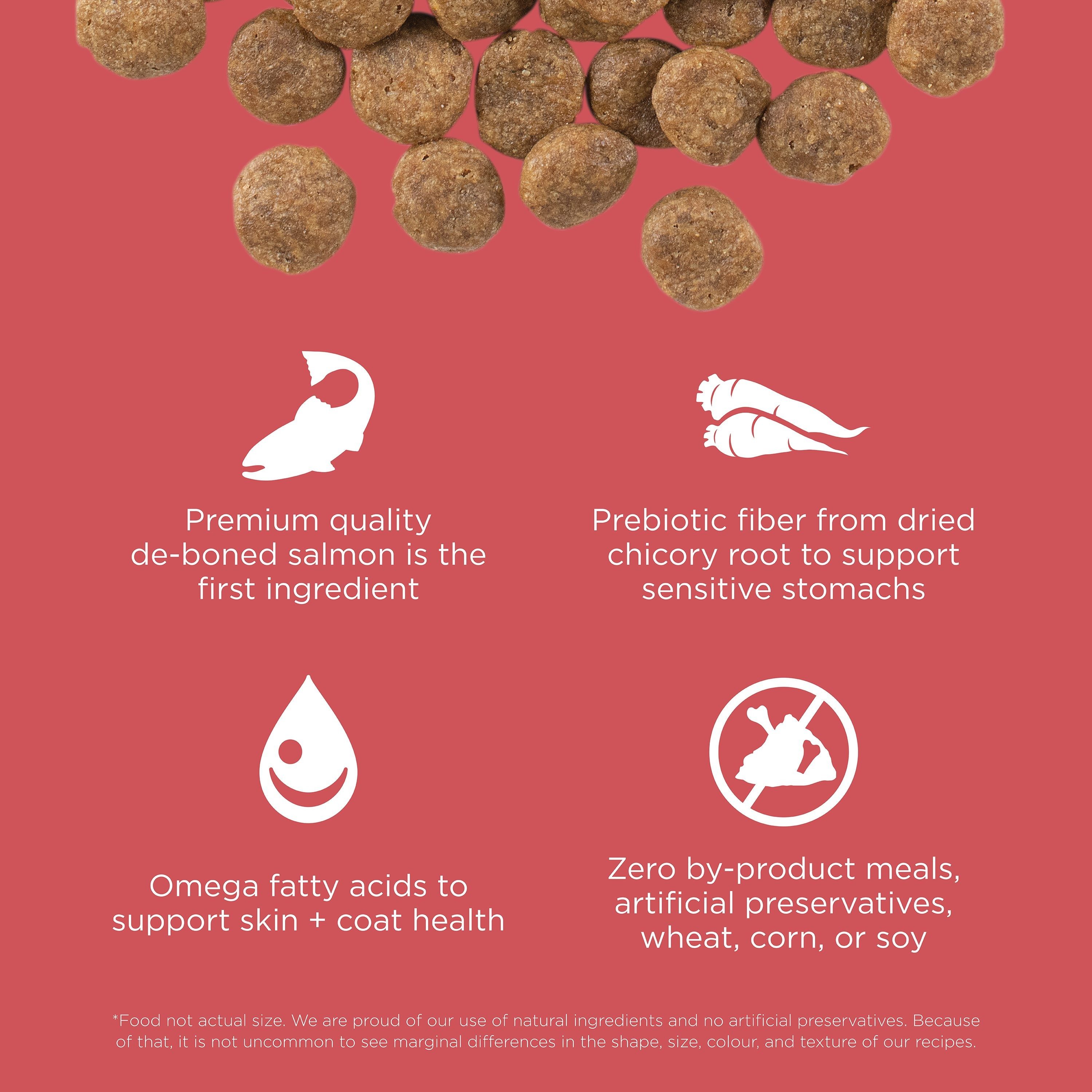 GO! SOLUTIONS SENSITIVITIES Grain Free LID Salmon Recipe | 2.72kg