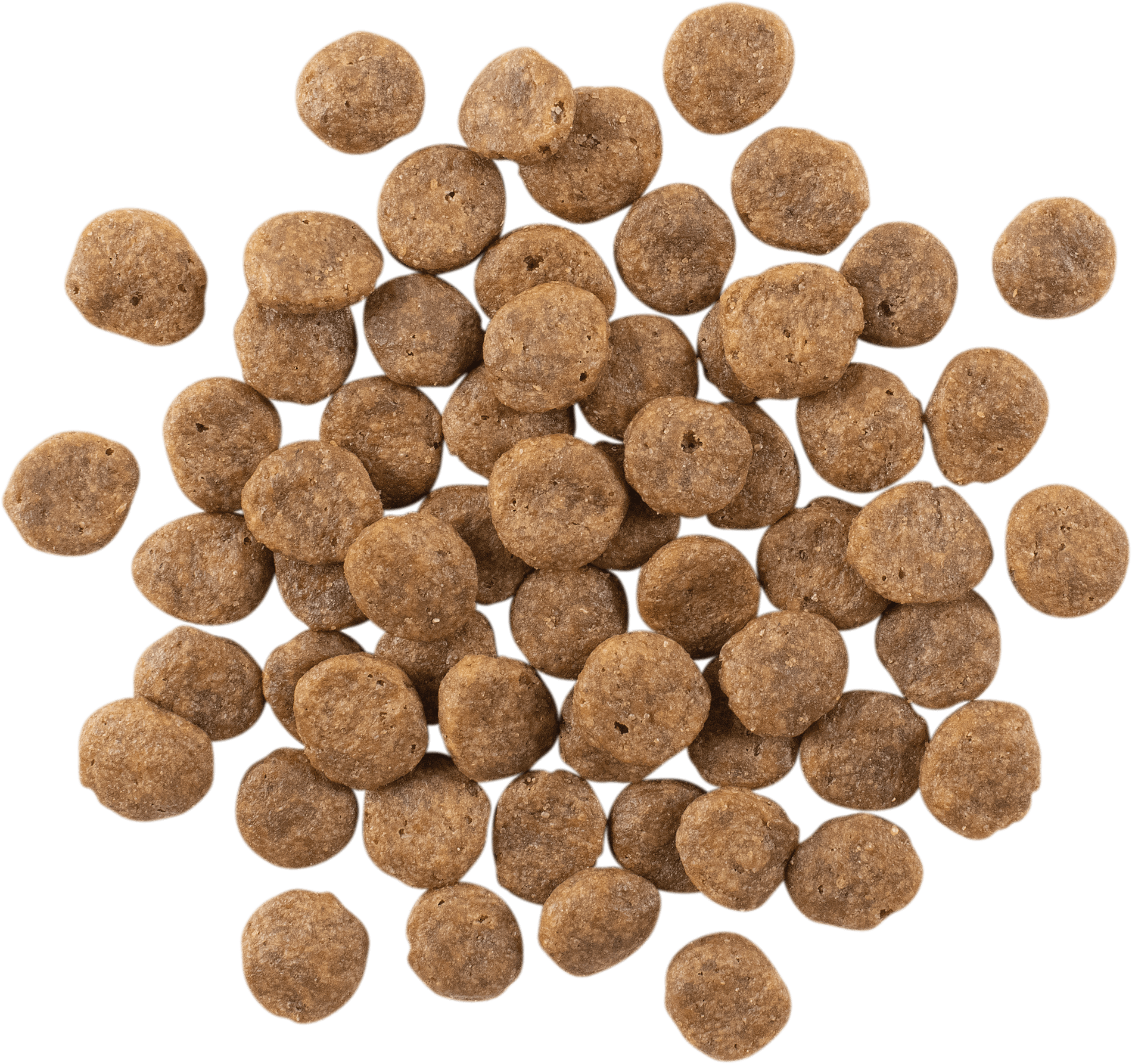 GO! SOLUTIONS SENSITIVITIES Grain Free LID Salmon Recipe | 2.72kg