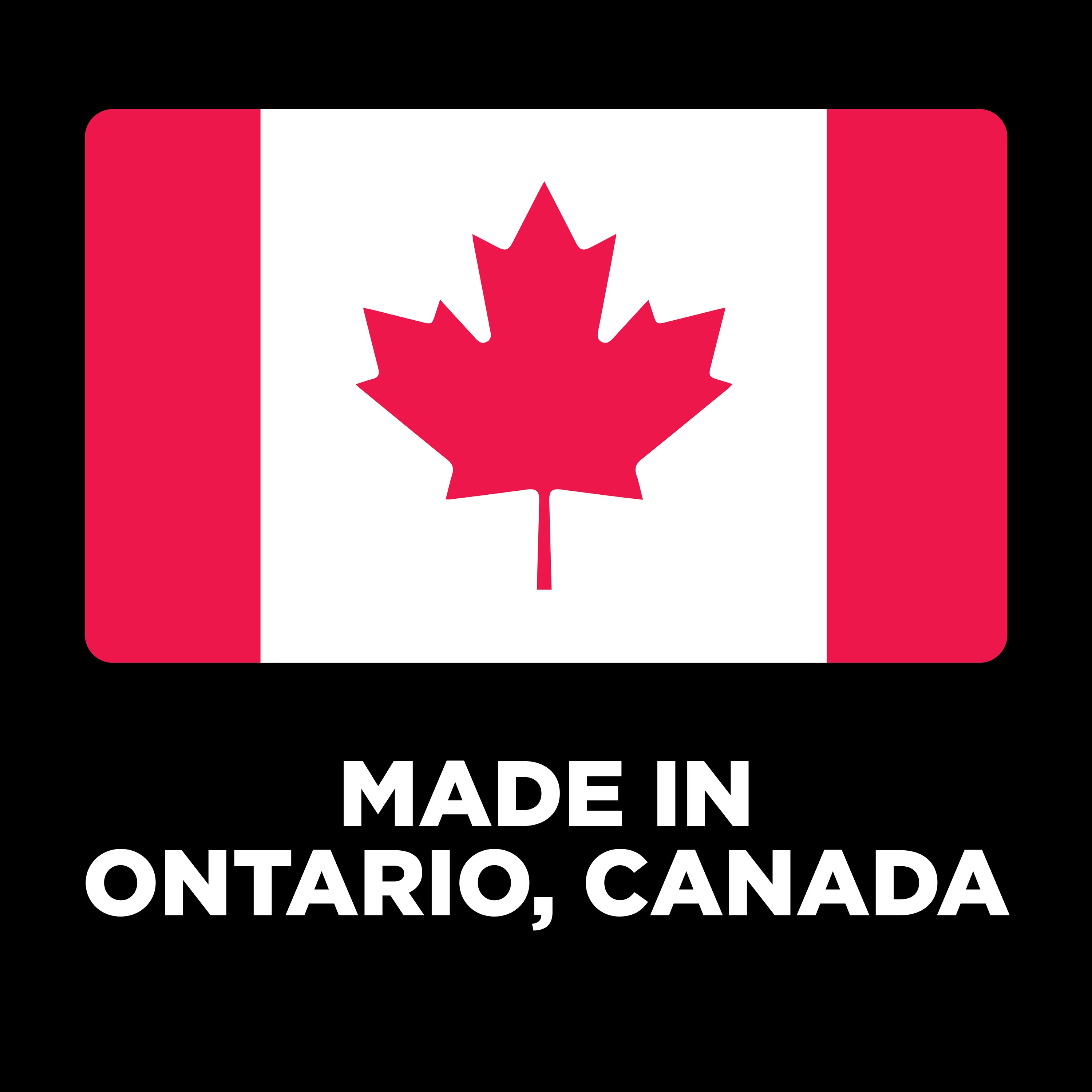 GO! SOLUTIONS Digestion + Gut Health Salmon Recipe with Ancient Grains for cats | 1.4kg