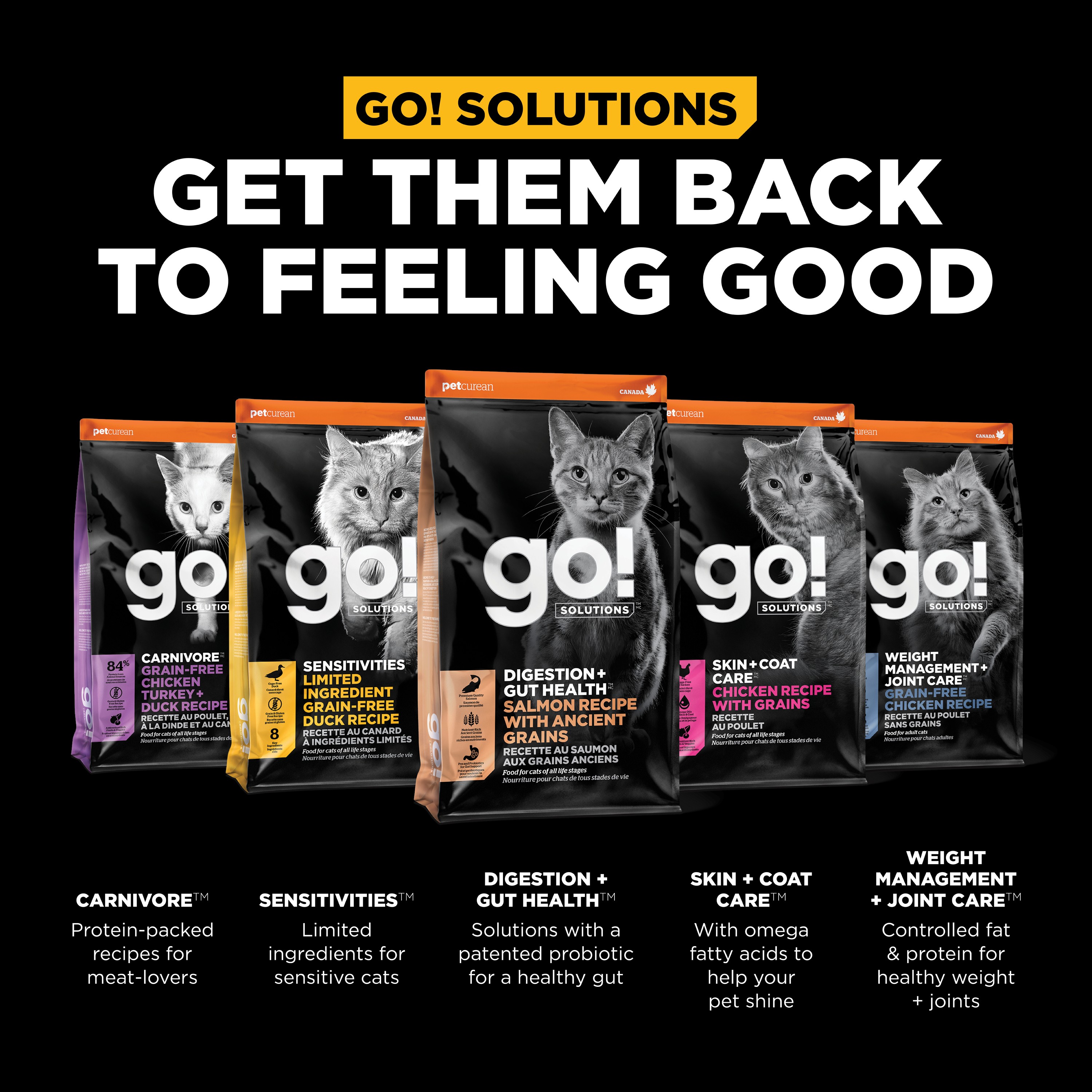 GO! SOLUTIONS Digestion + Gut Health Salmon Recipe with Ancient Grains for cats | 1.4kg