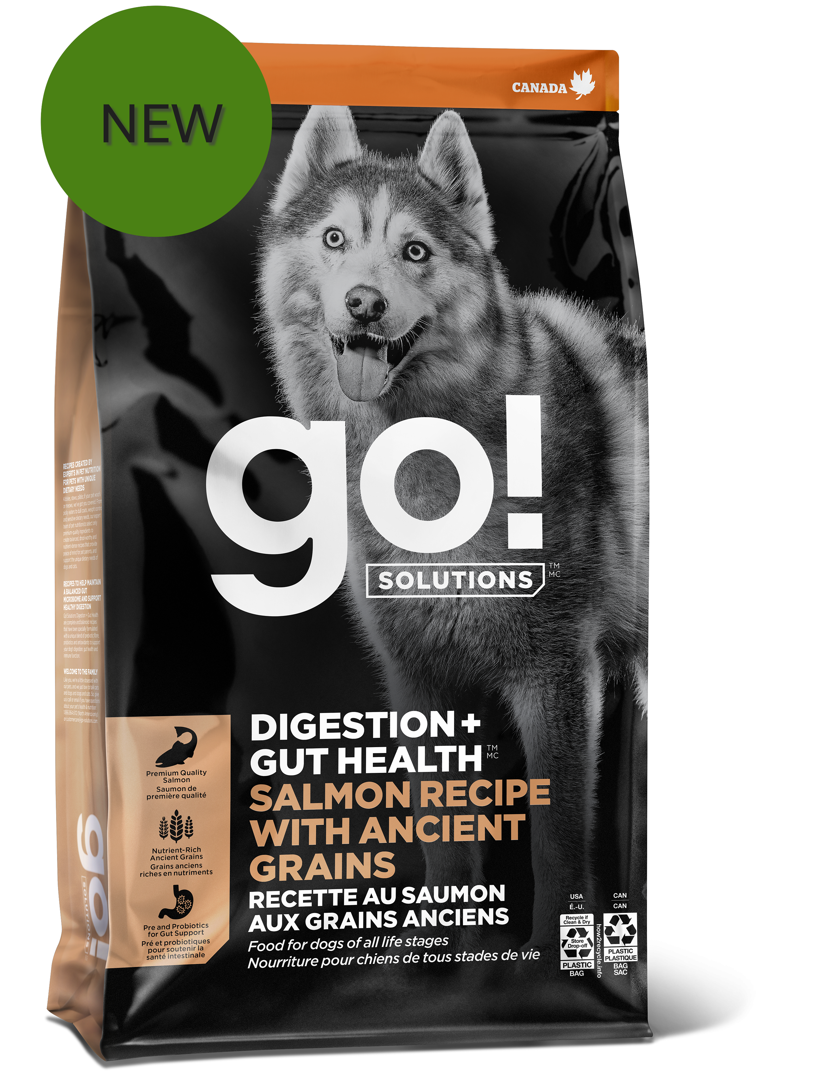 GO! SOLUTIONS Digestion + Gut Health Salmon Recipe with Ancient Grains for dogs 