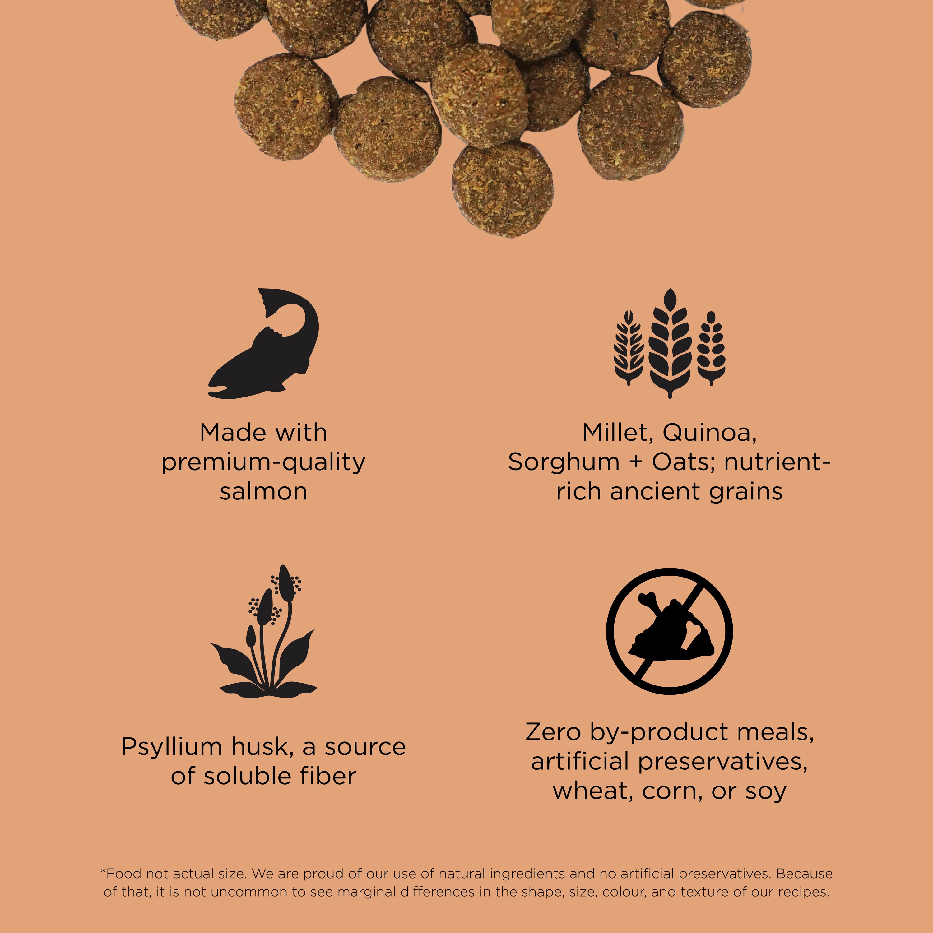 GO! SOLUTIONS Digestion + Gut Health Salmon Recipe with Ancient Grains for dogs | 5.4kg