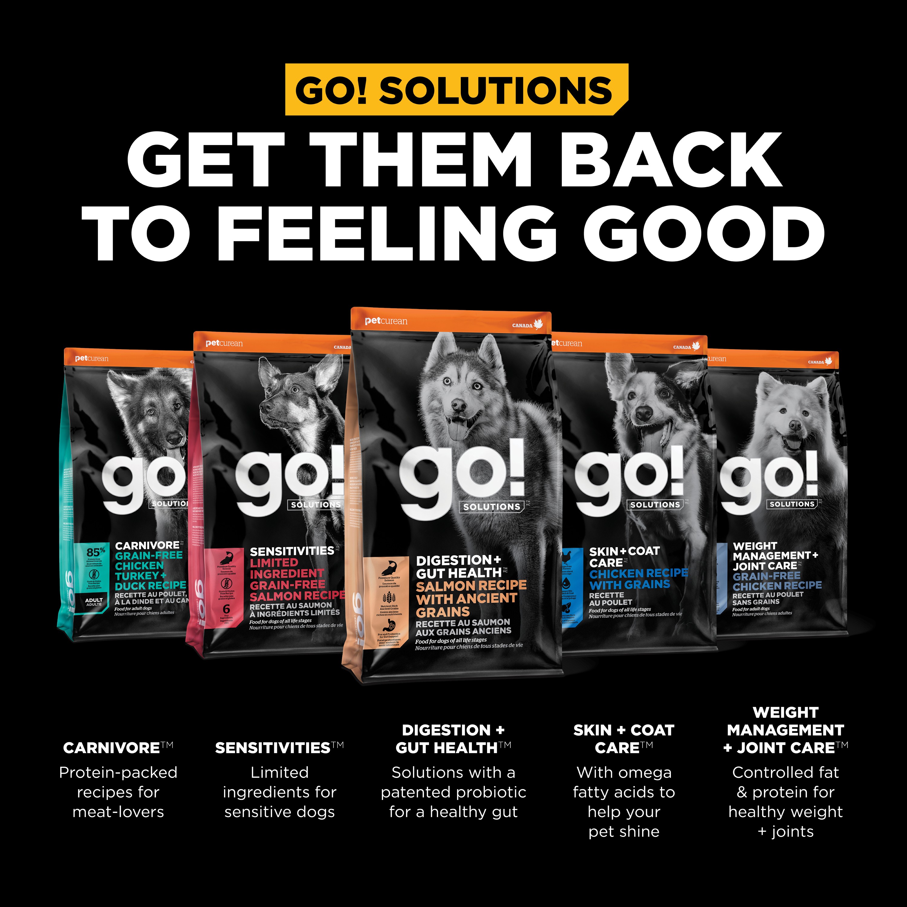 GO! SOLUTIONS Digestion + Gut Health Salmon Recipe with Ancient Grains for dogs | 5.4kg