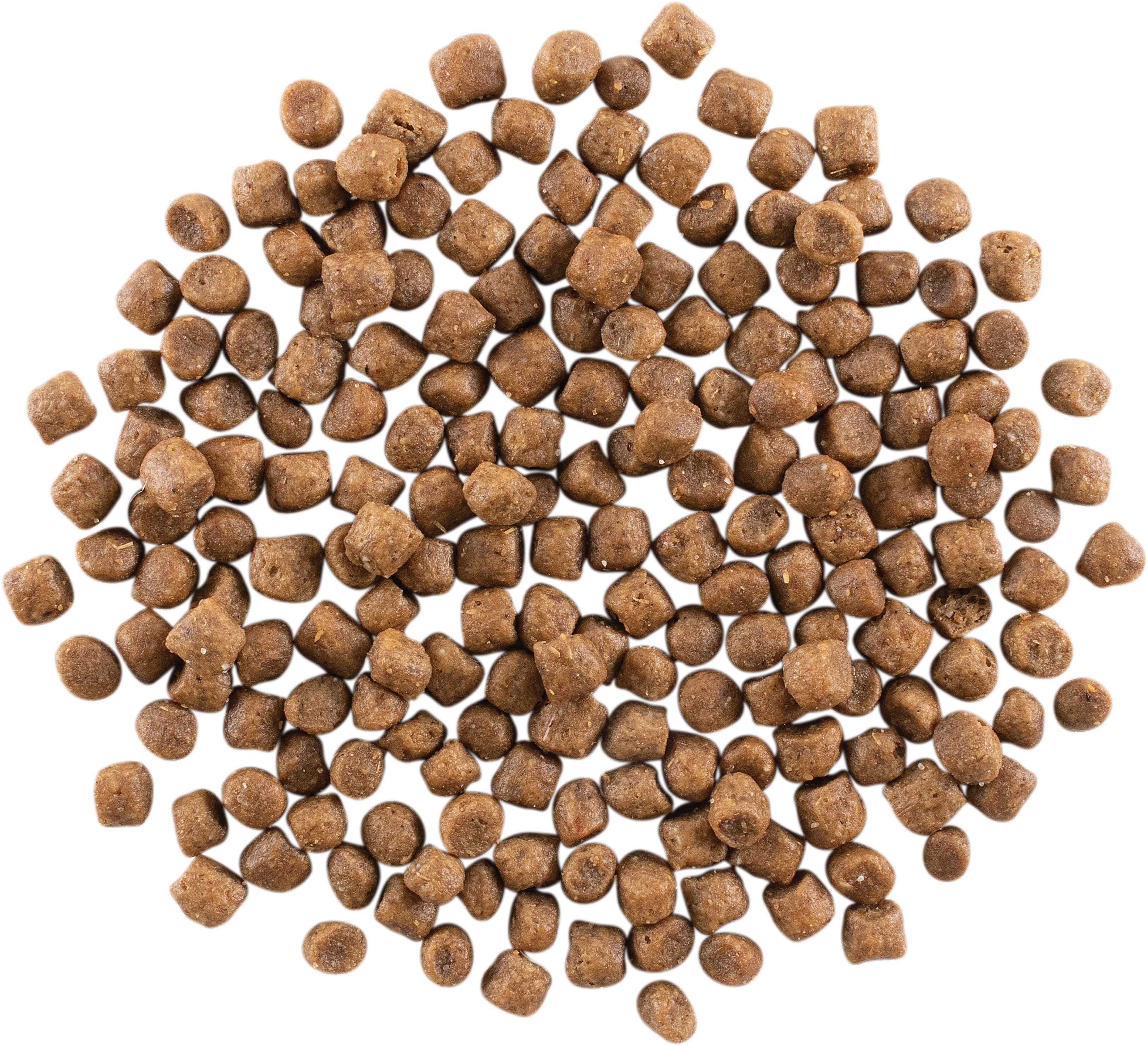 GO! SOLUTIONS SKIN + COAT CARE With Grains Chicken Recipe | 3.63kg