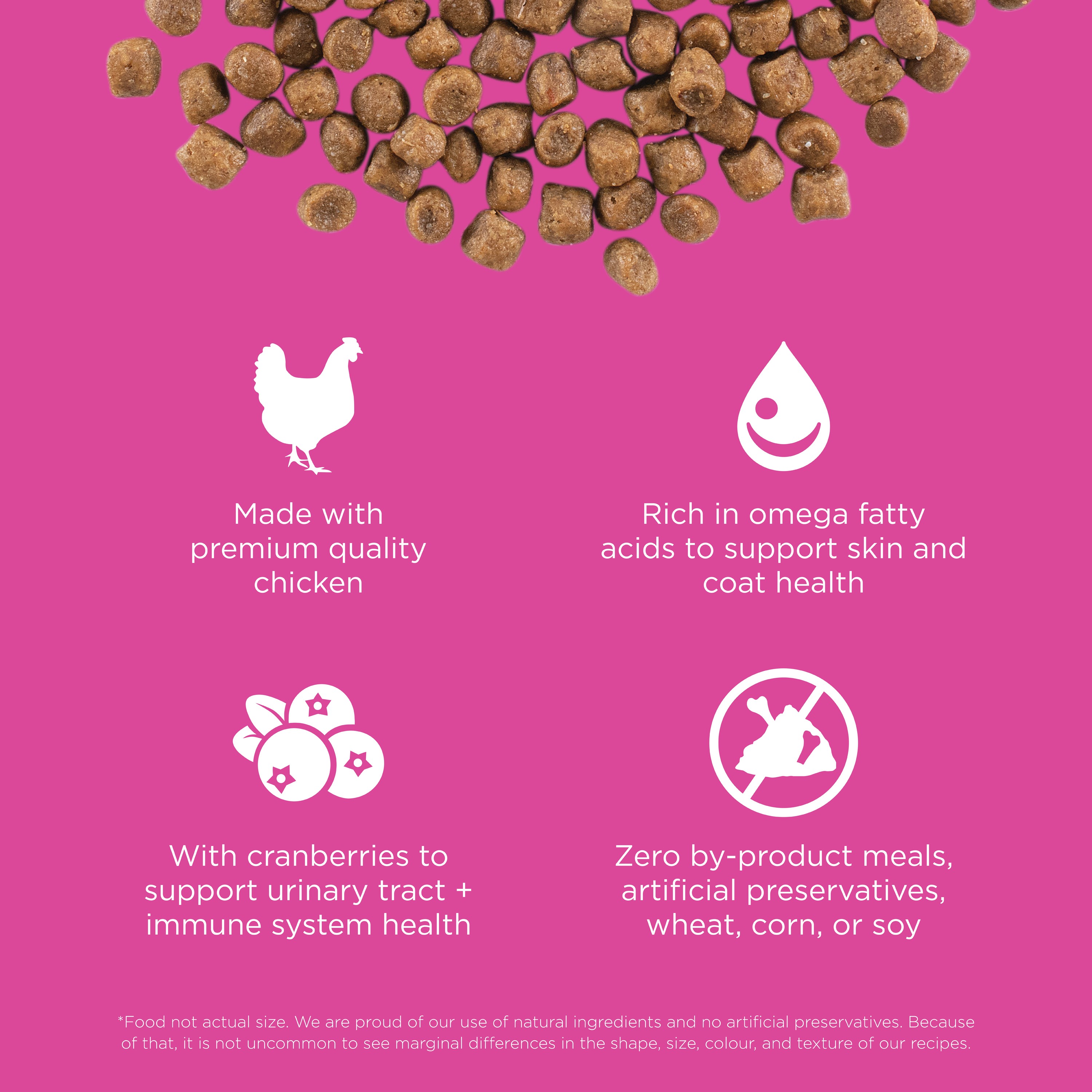 GO! SOLUTIONS SKIN + COAT CARE With Grains Chicken Recipe | 3.63kg