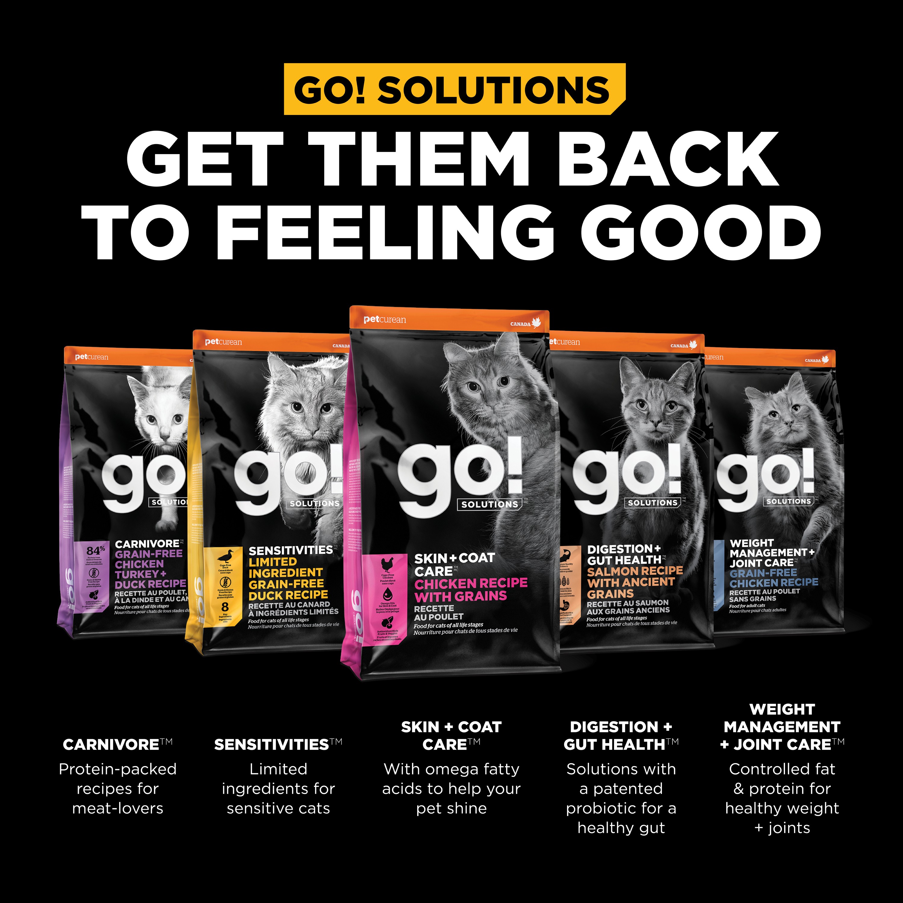 GO! SOLUTIONS SKIN + COAT CARE With Grains Chicken Recipe | 3.63kg