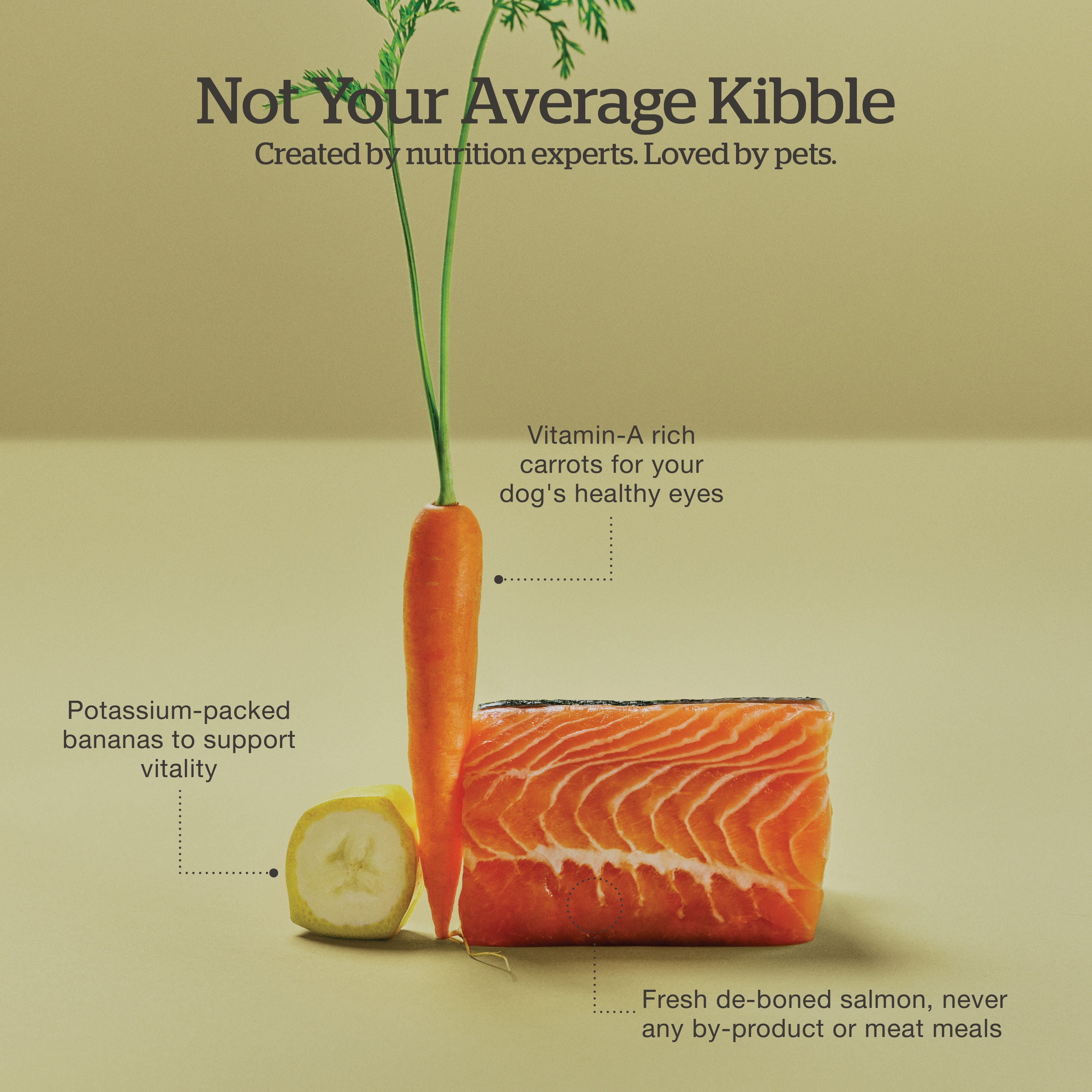 NOW FRESH Good Gravy Small Breed Adult Salmon Recipe with Ancient Grains for dogs | 5.4kg