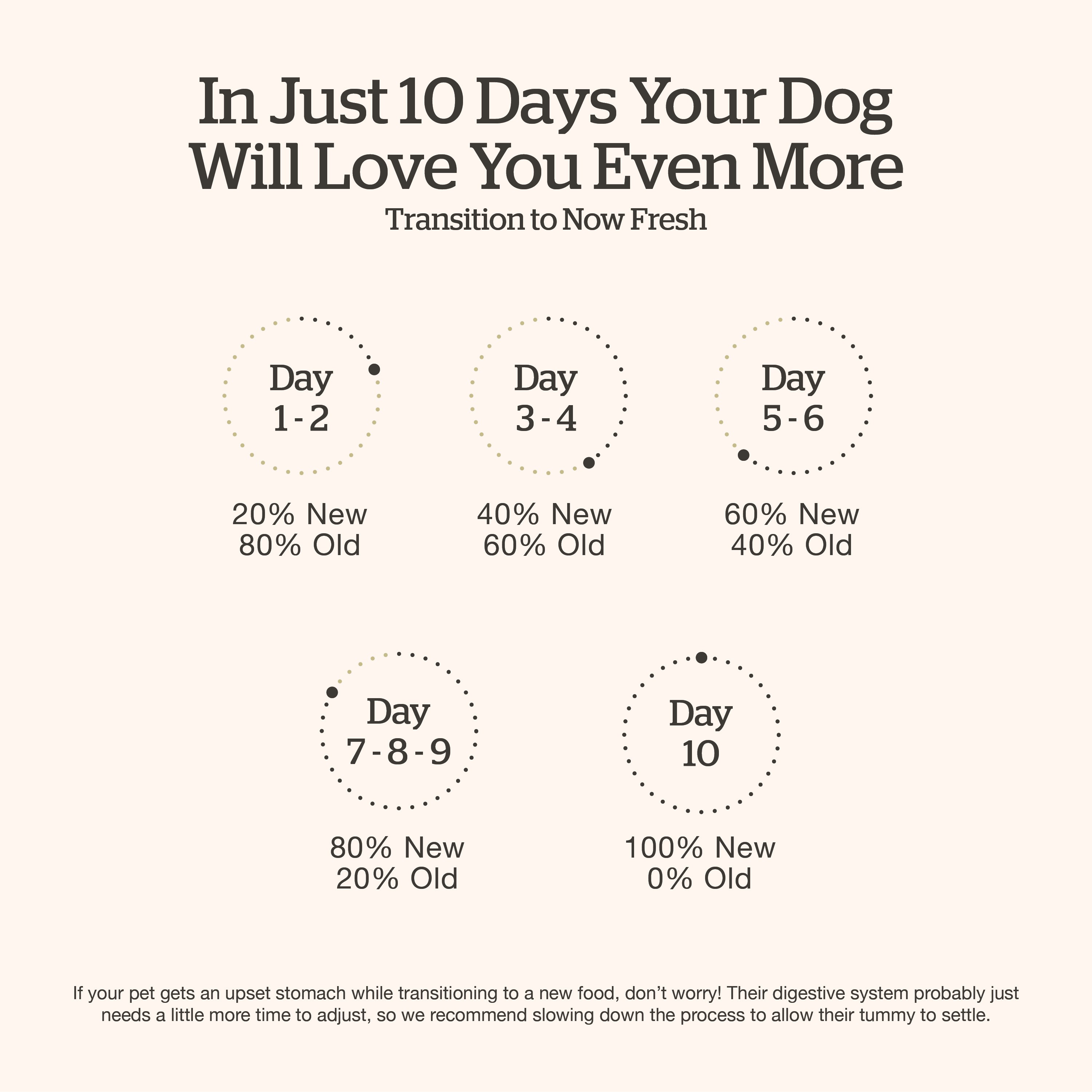 NOW FRESH Good Gravy Small Breed Adult Salmon Recipe with Ancient Grains for dogs | 5.4kg