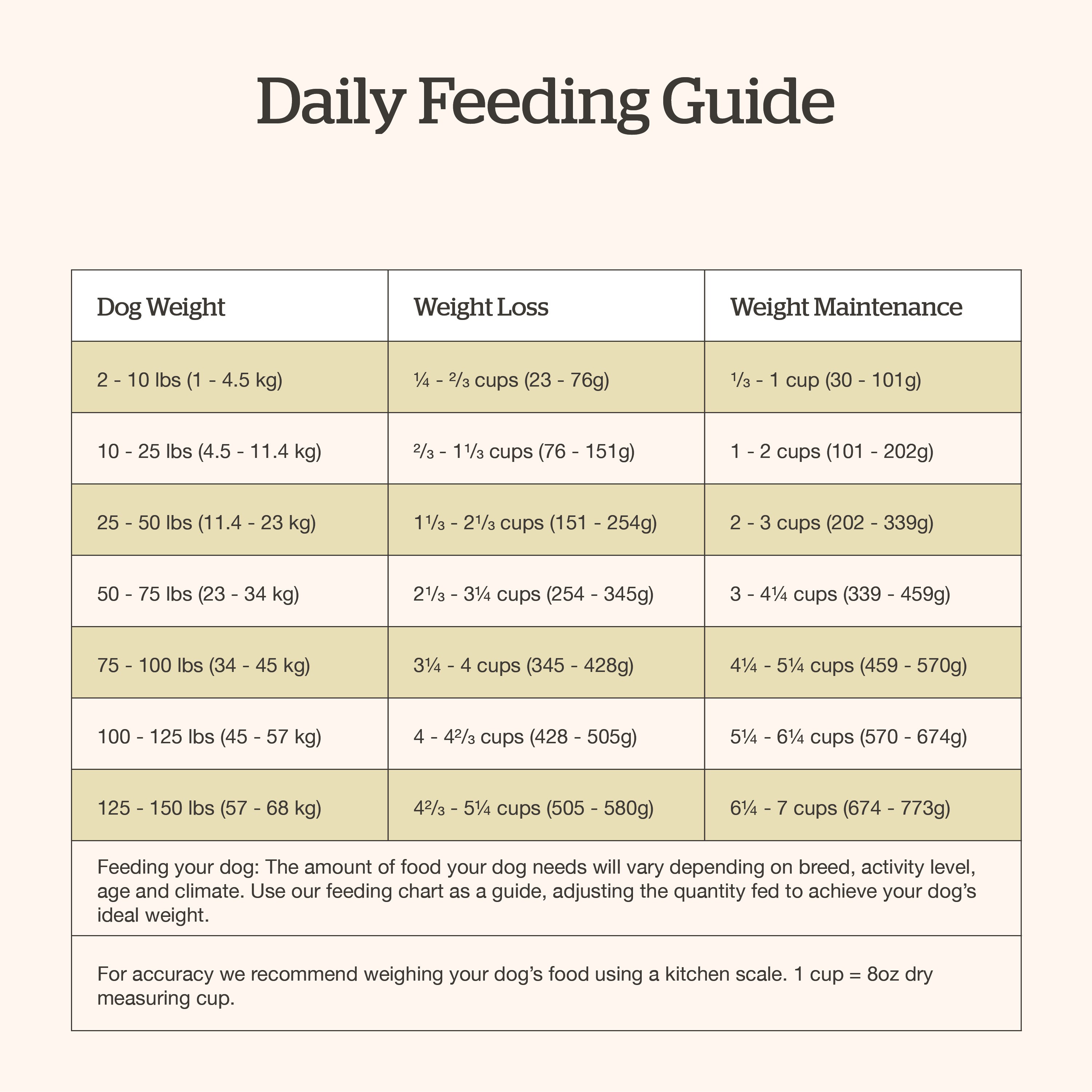 NOW FRESH Good Gravy Adult Salmon Recipe with Ancient Grains for dogs | 10kg