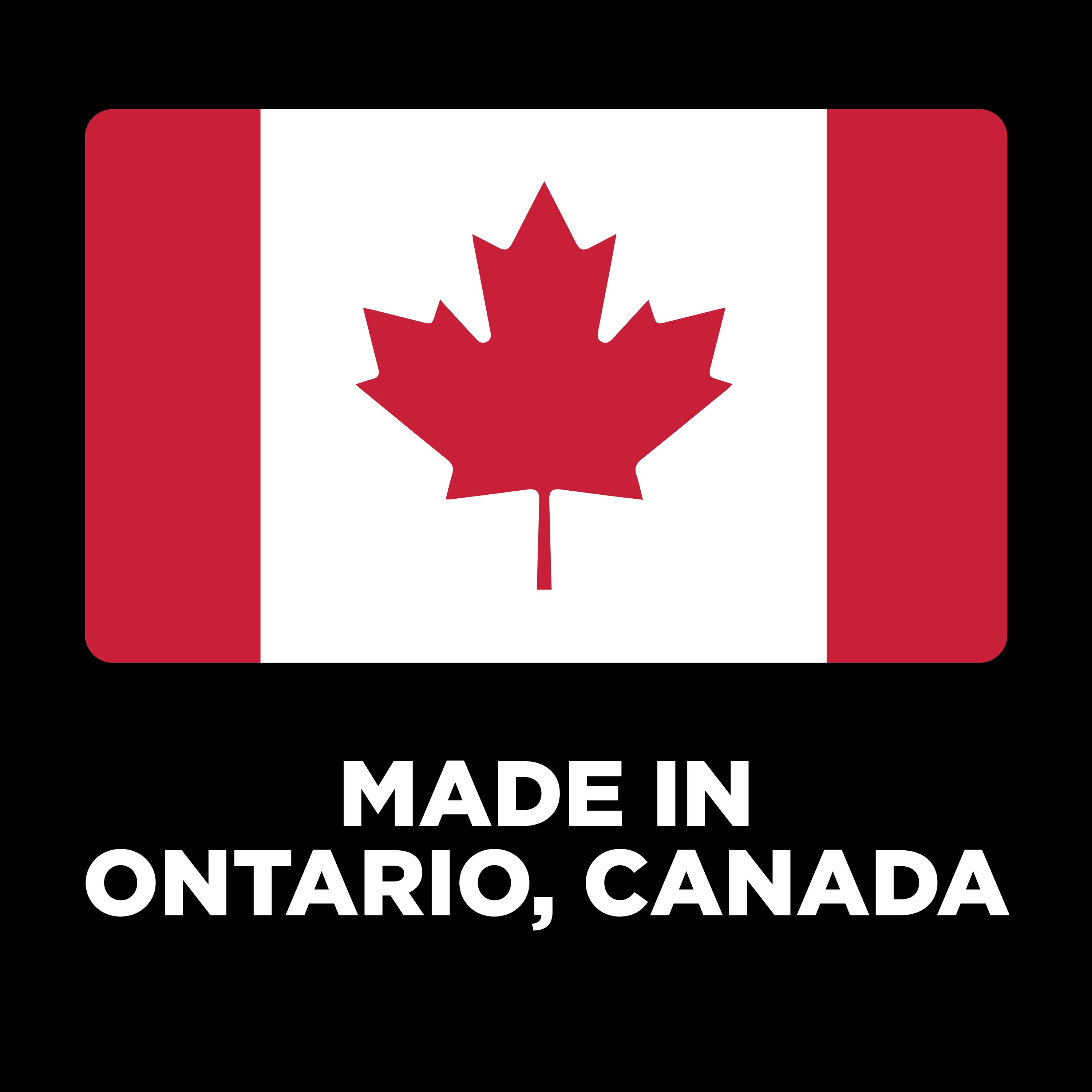 GO! SOLUTIONS SKIN + COAT CARE Lamb Recipe | 5.4kg