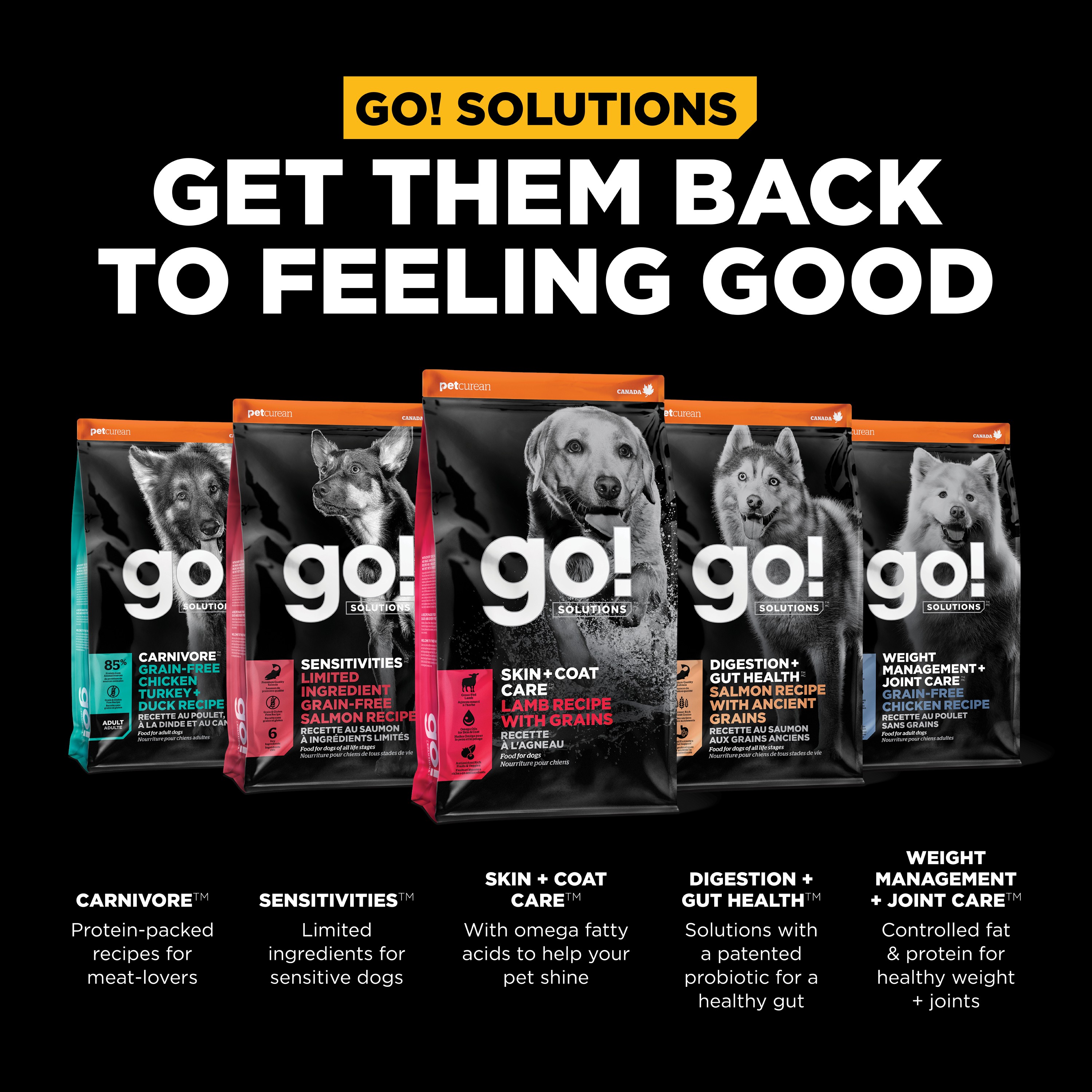 GO! SOLUTIONS SKIN + COAT CARE Lamb Recipe | 5.4kg