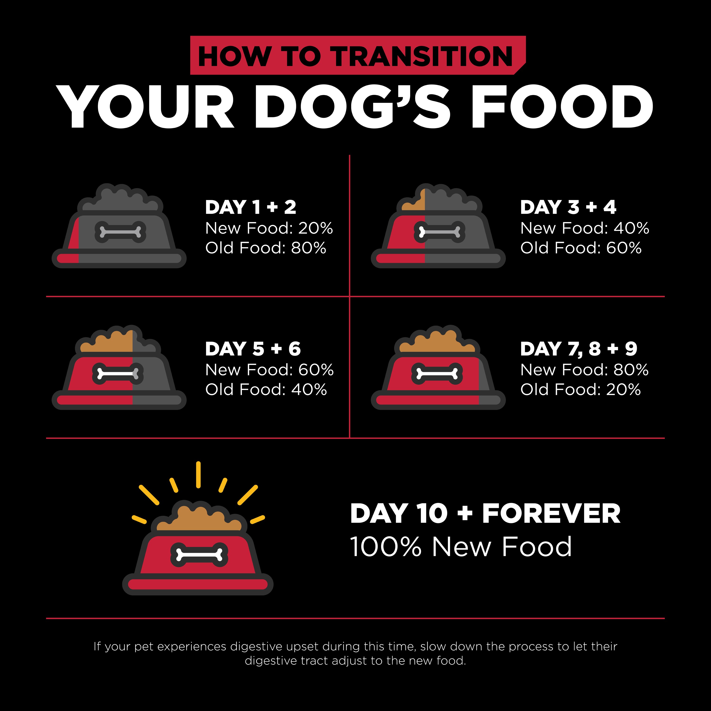 GO! SOLUTIONS SKIN + COAT CARE Lamb Recipe | 5.4kg