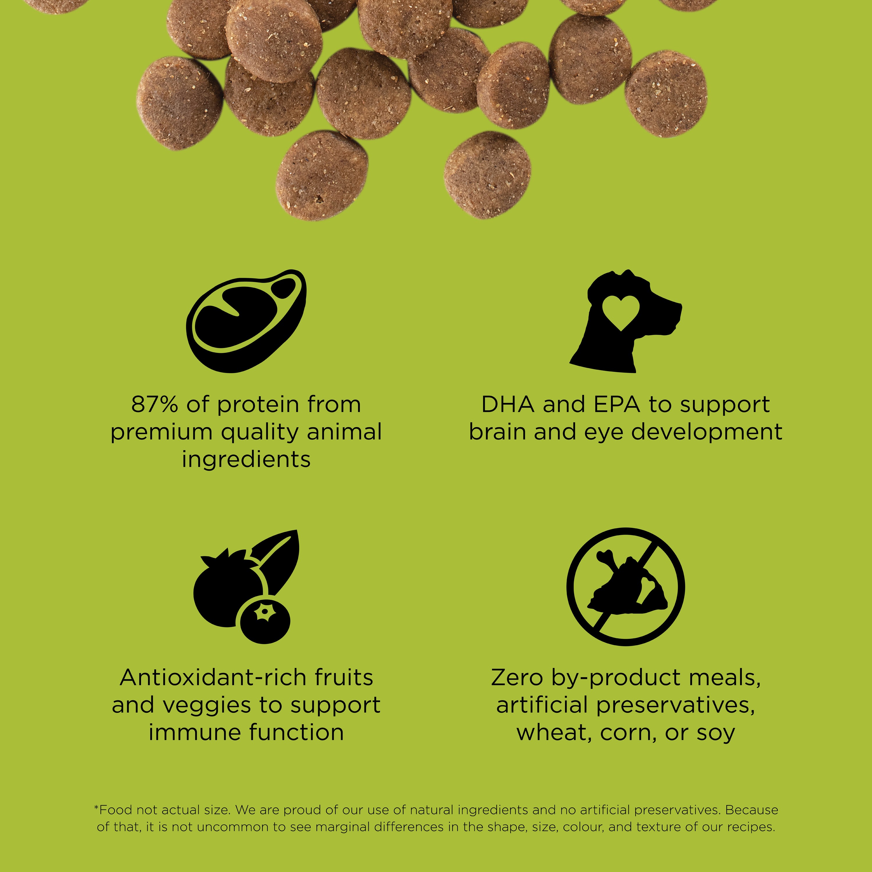 GO! SOLUTIONS CARNIVORE GF Chicken, Turkey + Duck Puppy Recipe | 5.44kg