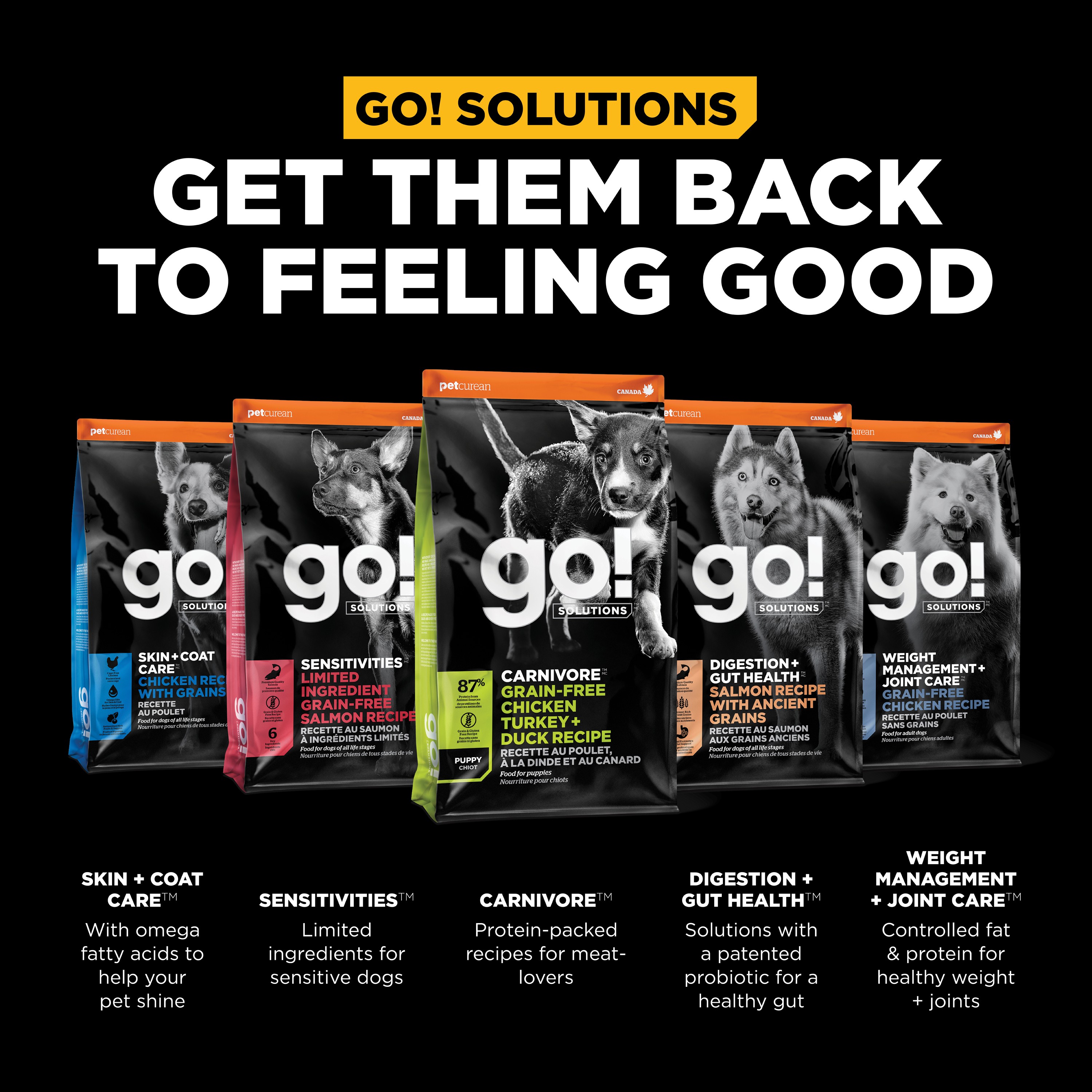 GO! SOLUTIONS CARNIVORE GF Chicken, Turkey + Duck Puppy Recipe | 5.44kg