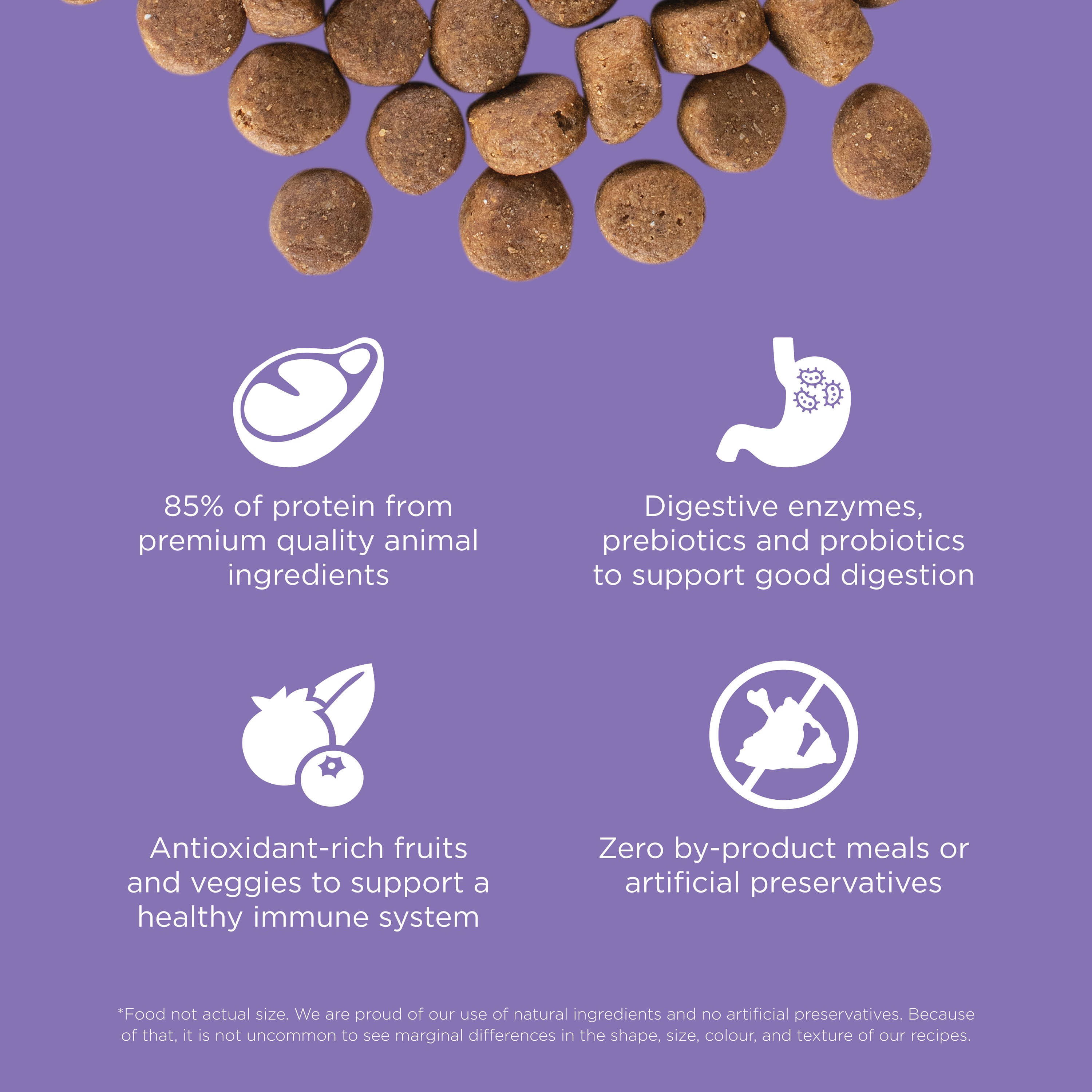 GO! SOLUTIONS CARNIVORE GF Chicken, Turkey + Duck Senior Recipe | 5.44kg