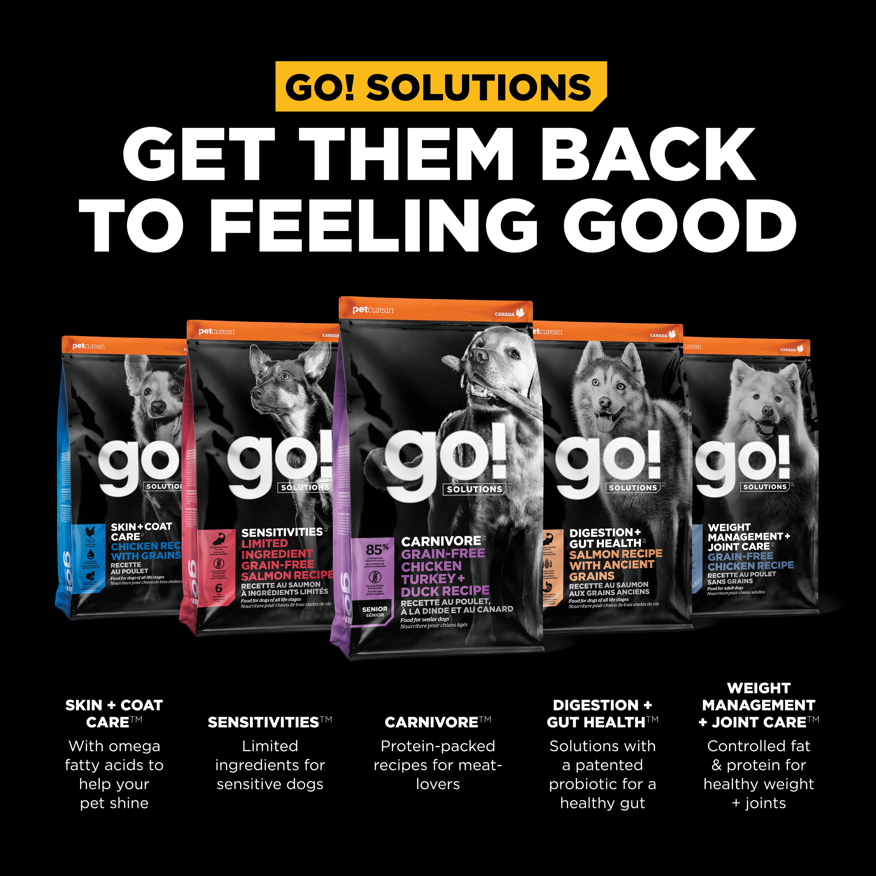 GO! SOLUTIONS CARNIVORE GF Chicken, Turkey + Duck Senior Recipe | 5.44kg