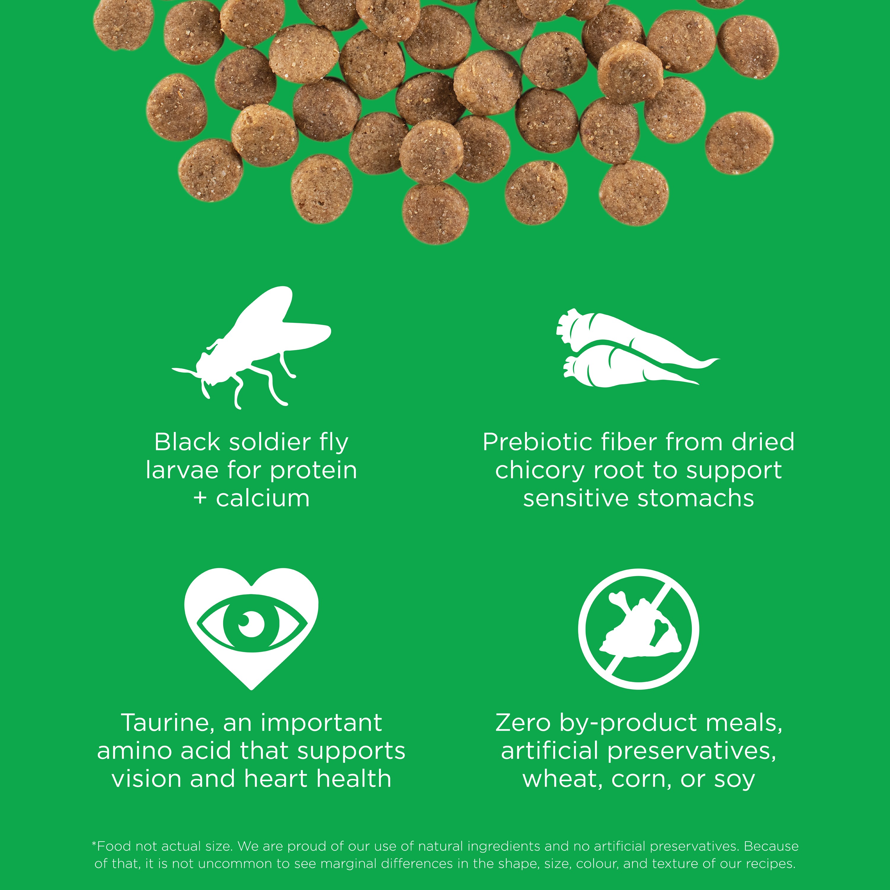 GO! SOLUTIONS SENSITIVITIES Grain Free LID Insect Recipe | 5.4kg