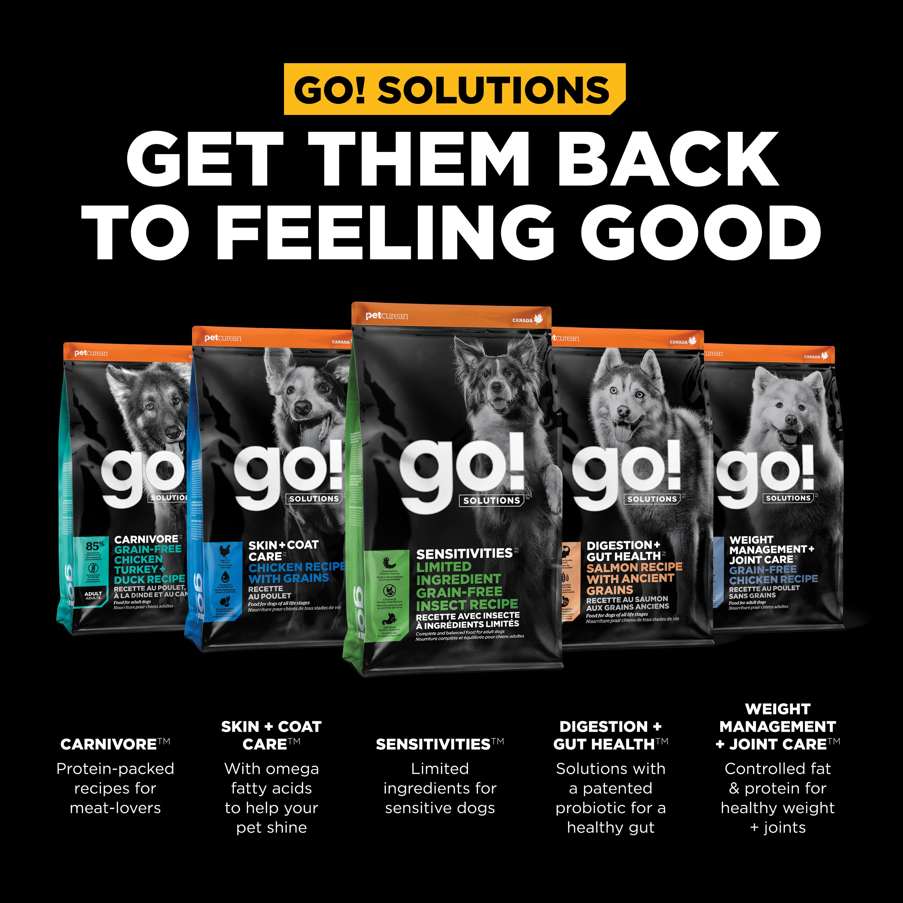GO! SOLUTIONS SENSITIVITIES Grain Free LID Insect Recipe | 5.4kg