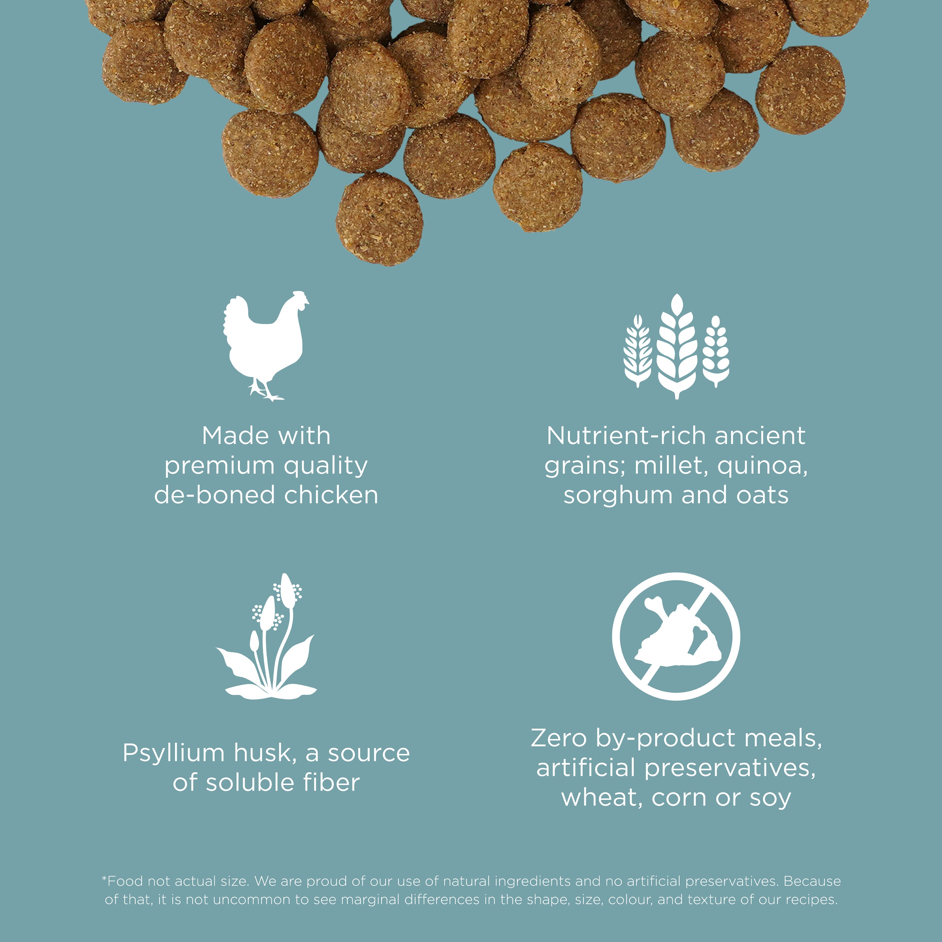 GO! SOLUTIONS Digestion + Gut Health Chicken Recipe with Ancient Grains for dogs | 5.4kg