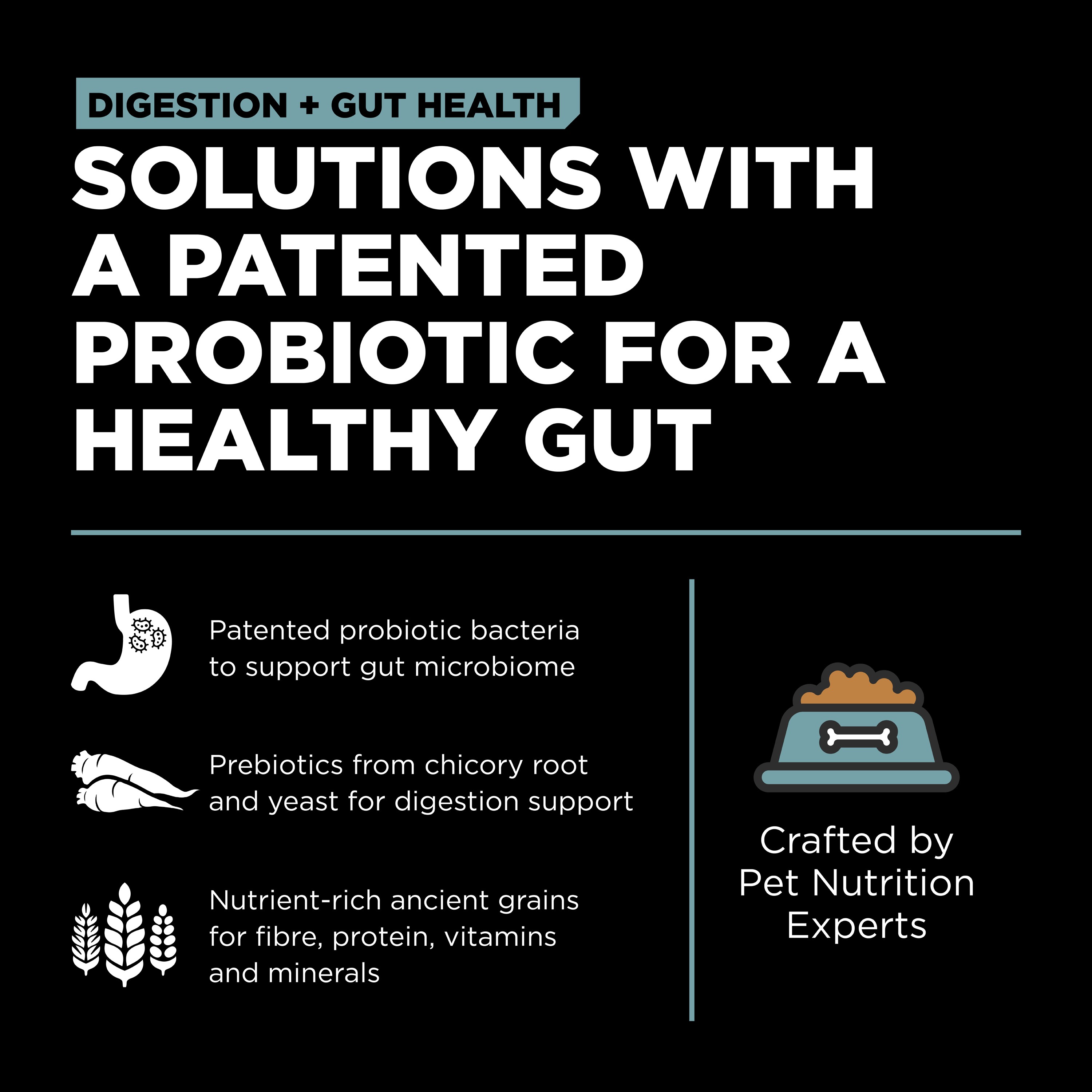 GO! SOLUTIONS Digestion + Gut Health Chicken Recipe with Ancient Grains for dogs | 5.4kg