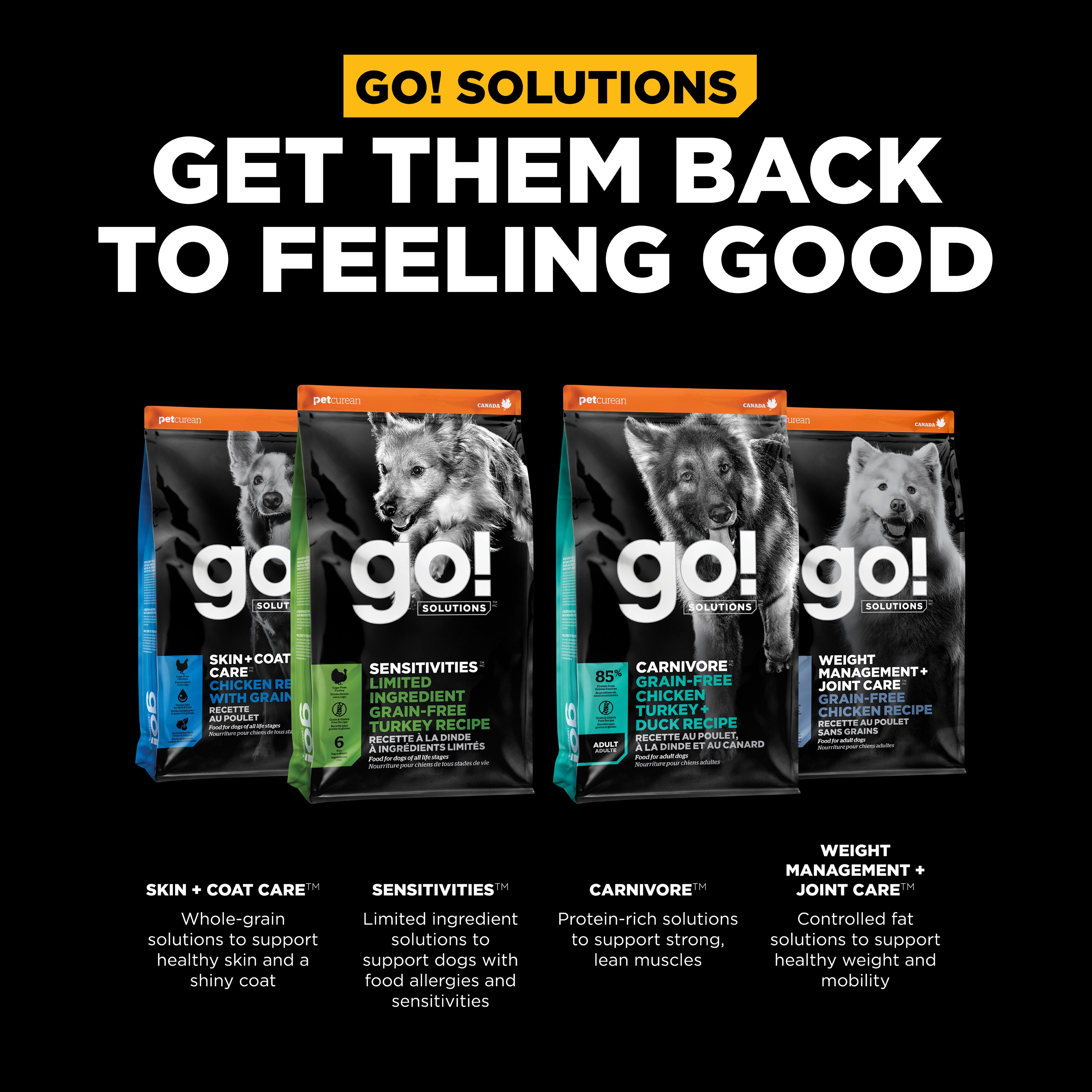 GO! SOLUTIONS Digestion + Gut Health Chicken Recipe with Ancient Grains for dogs | 10kg