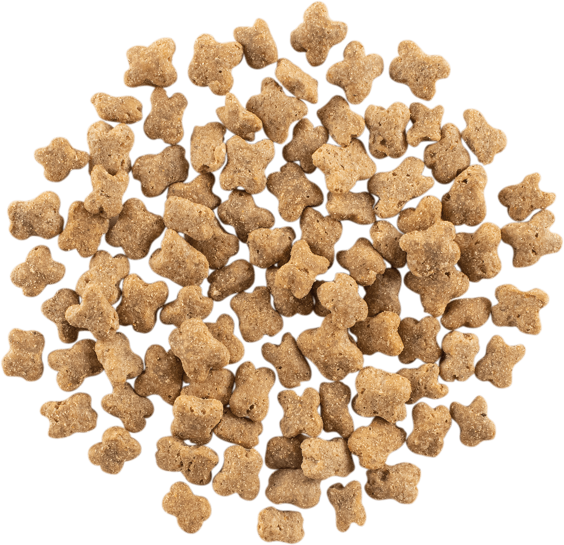 NOW FRESH Turkey, Salmon + Duck Small Breed Senior Recipe | 10kg