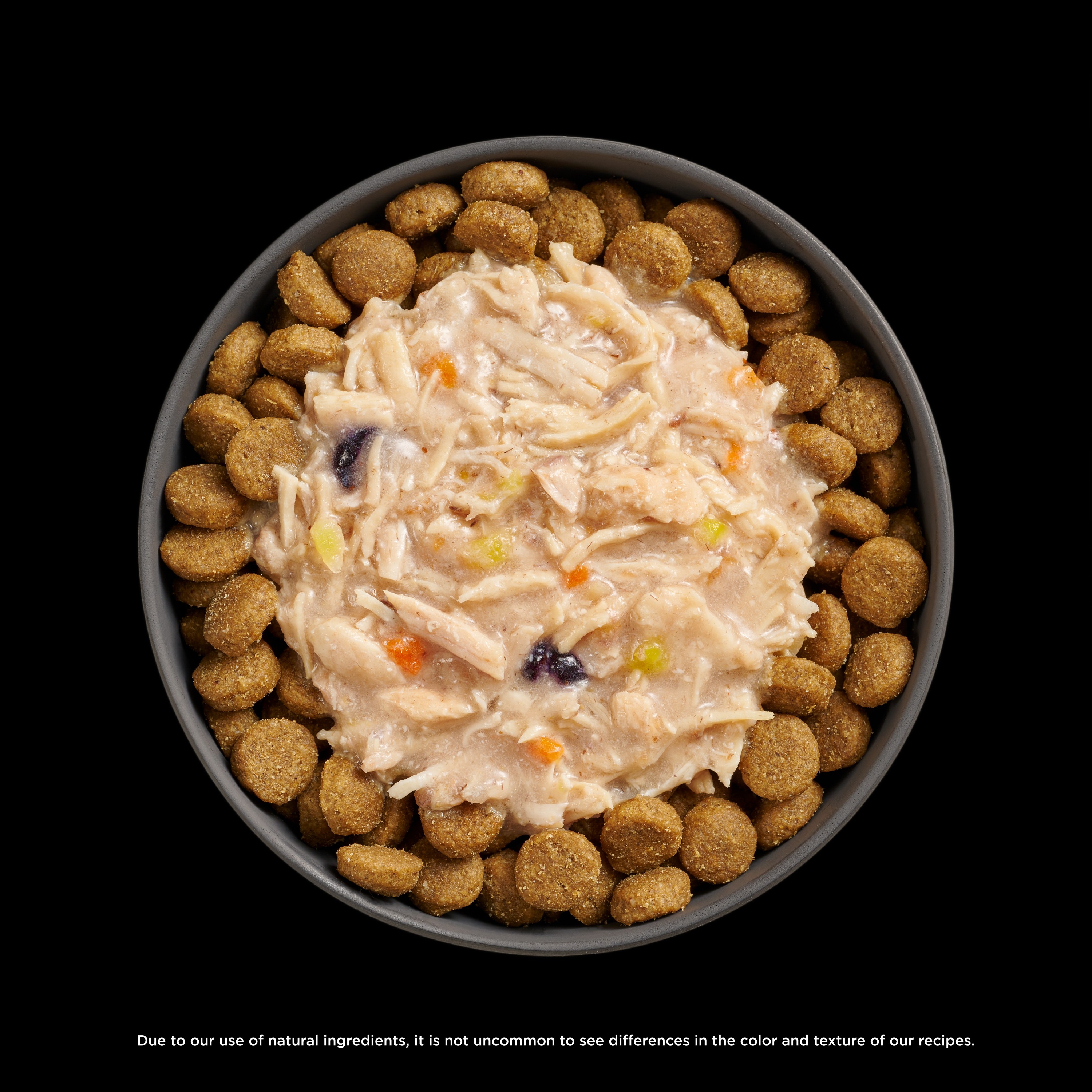 *NEW*  GO! SOLUTIONS Booster Immune Health Shredded Chicken + Salmon Recipe | 24/79g