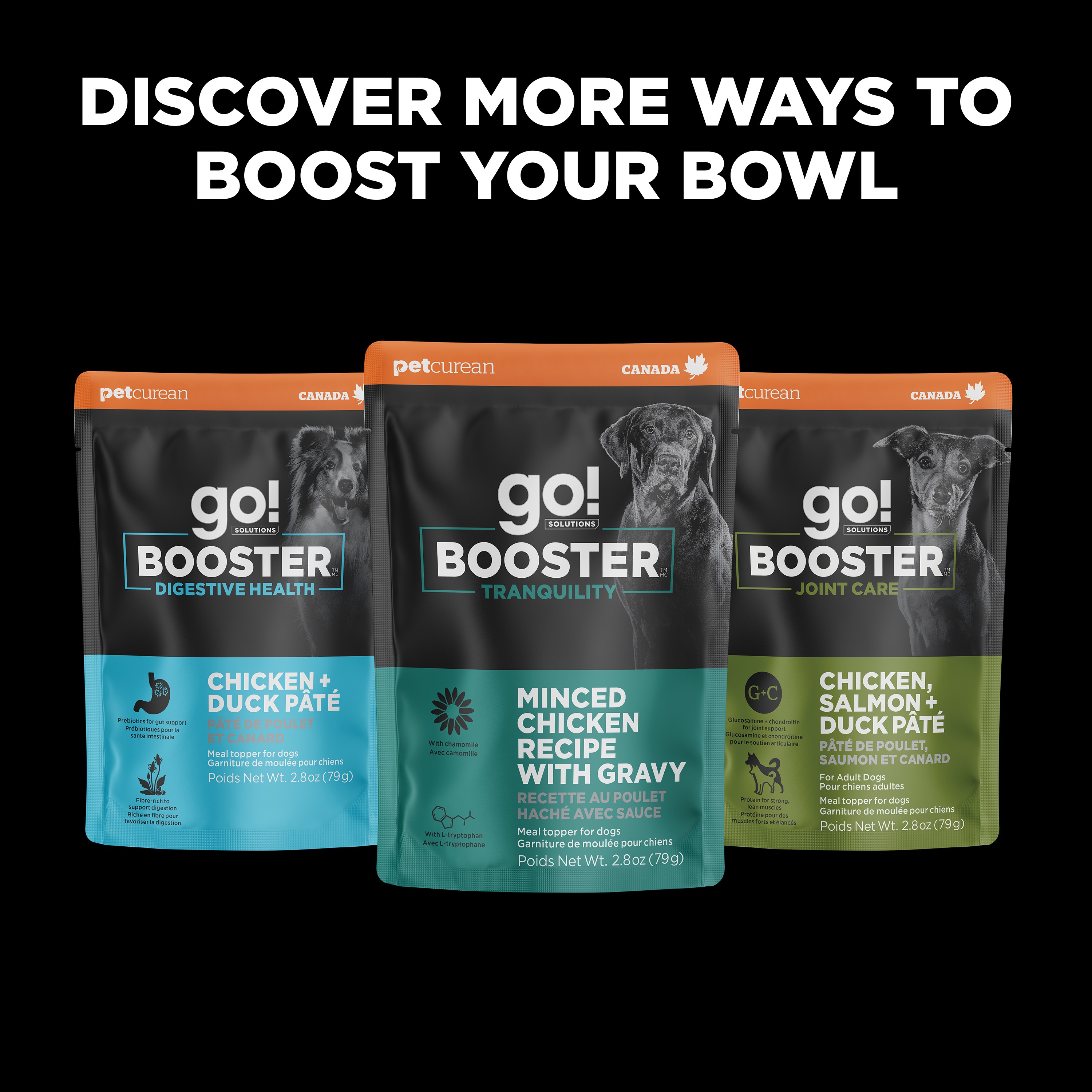 *NEW*  GO! SOLUTIONS Booster Immune Health Shredded Chicken + Salmon Recipe | 24/79g