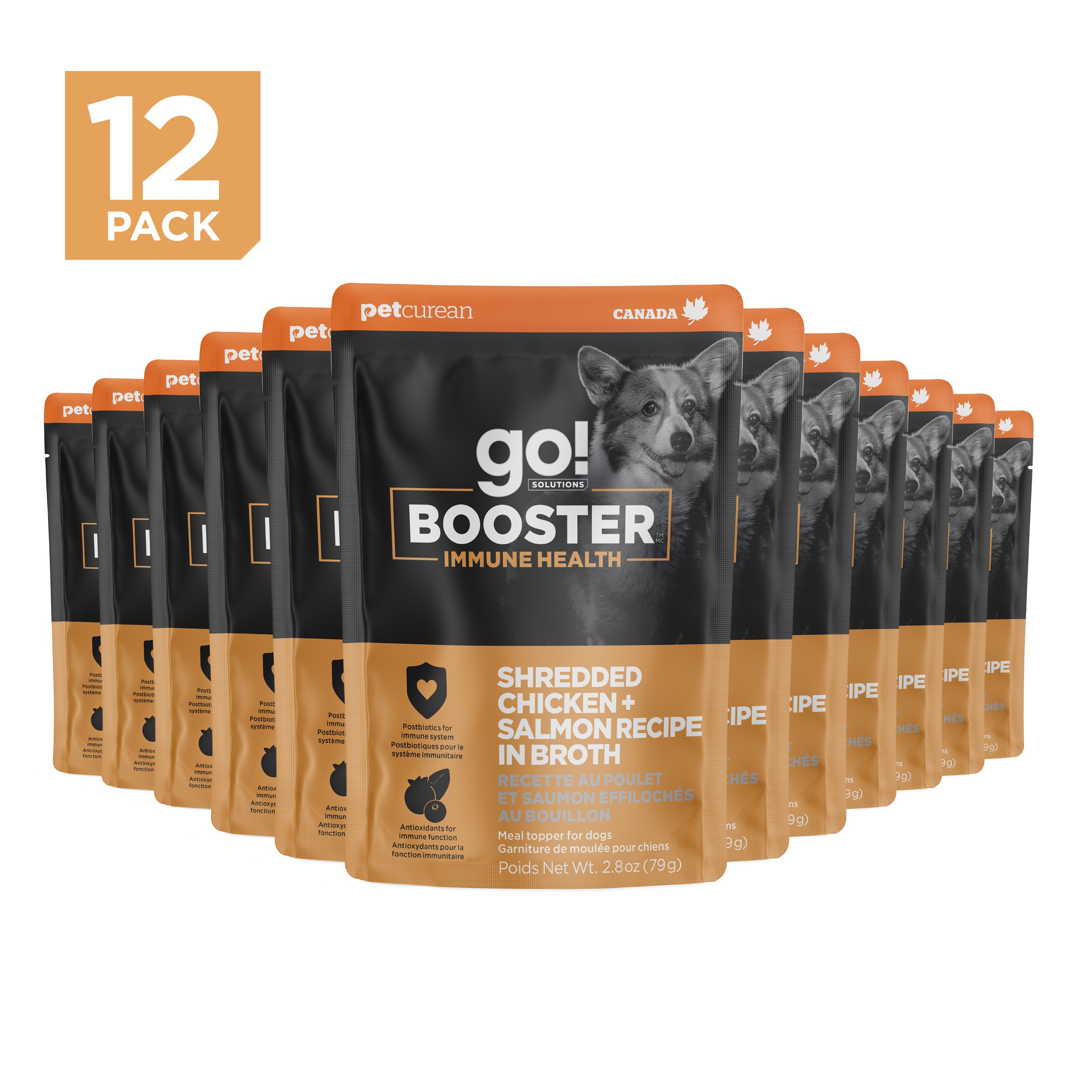 *NEW*  GO! SOLUTIONS Booster Immune Health Shredded Chicken + Salmon Recipe | 24/79g