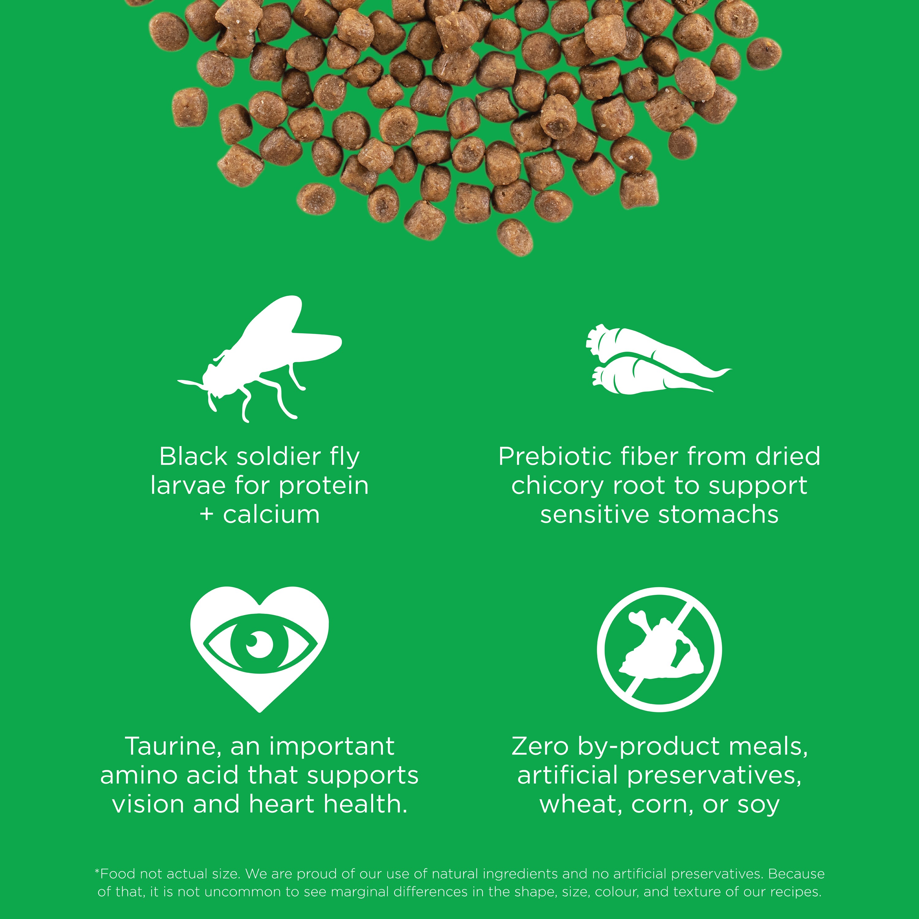 GO! SOLUTIONS SENSITIVITIES Grain Free LID Insect Recipe | 2.72kg