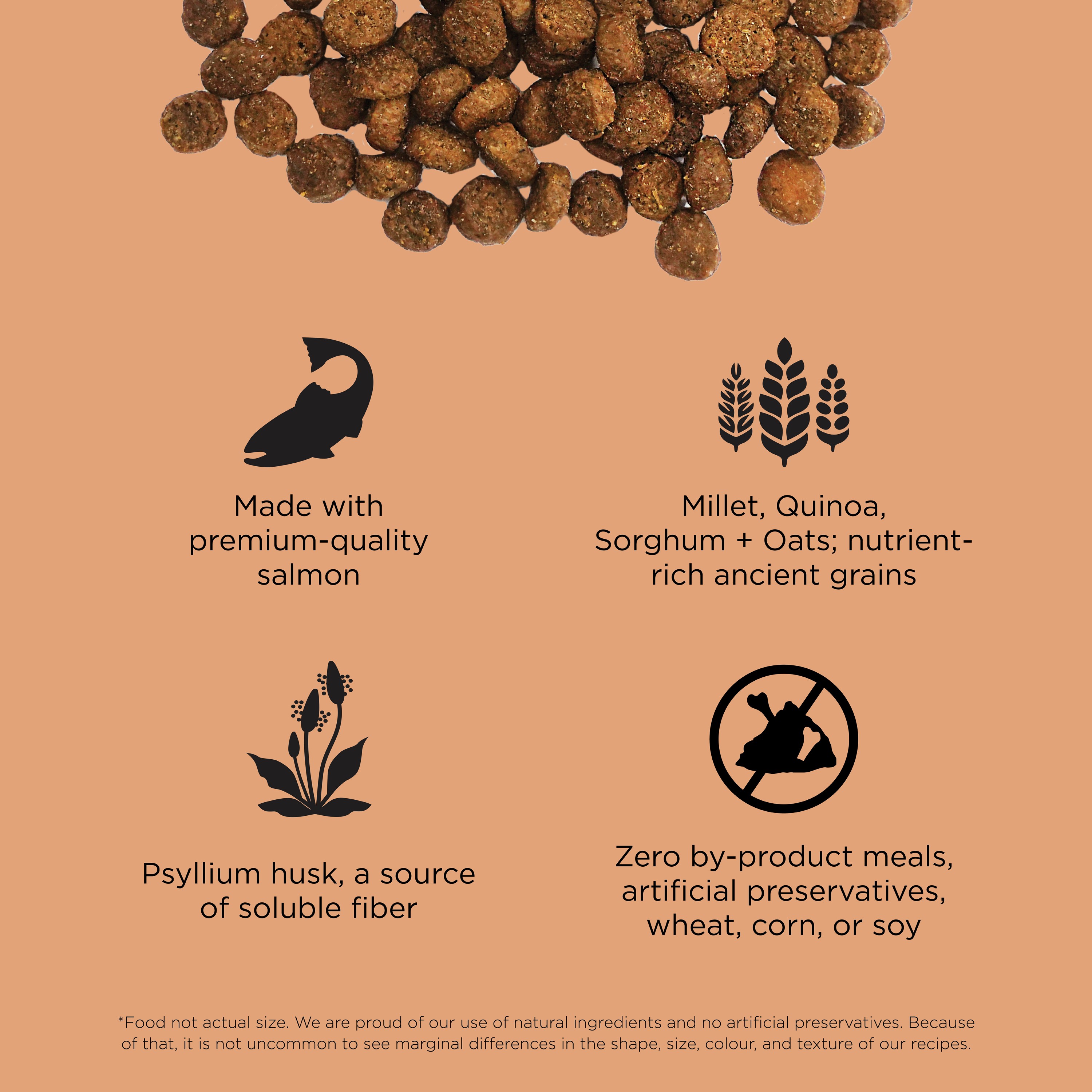 GO! SOLUTIONS Digestion + Gut Health Salmon Recipe with Ancient Grains for cats | 2.72kg