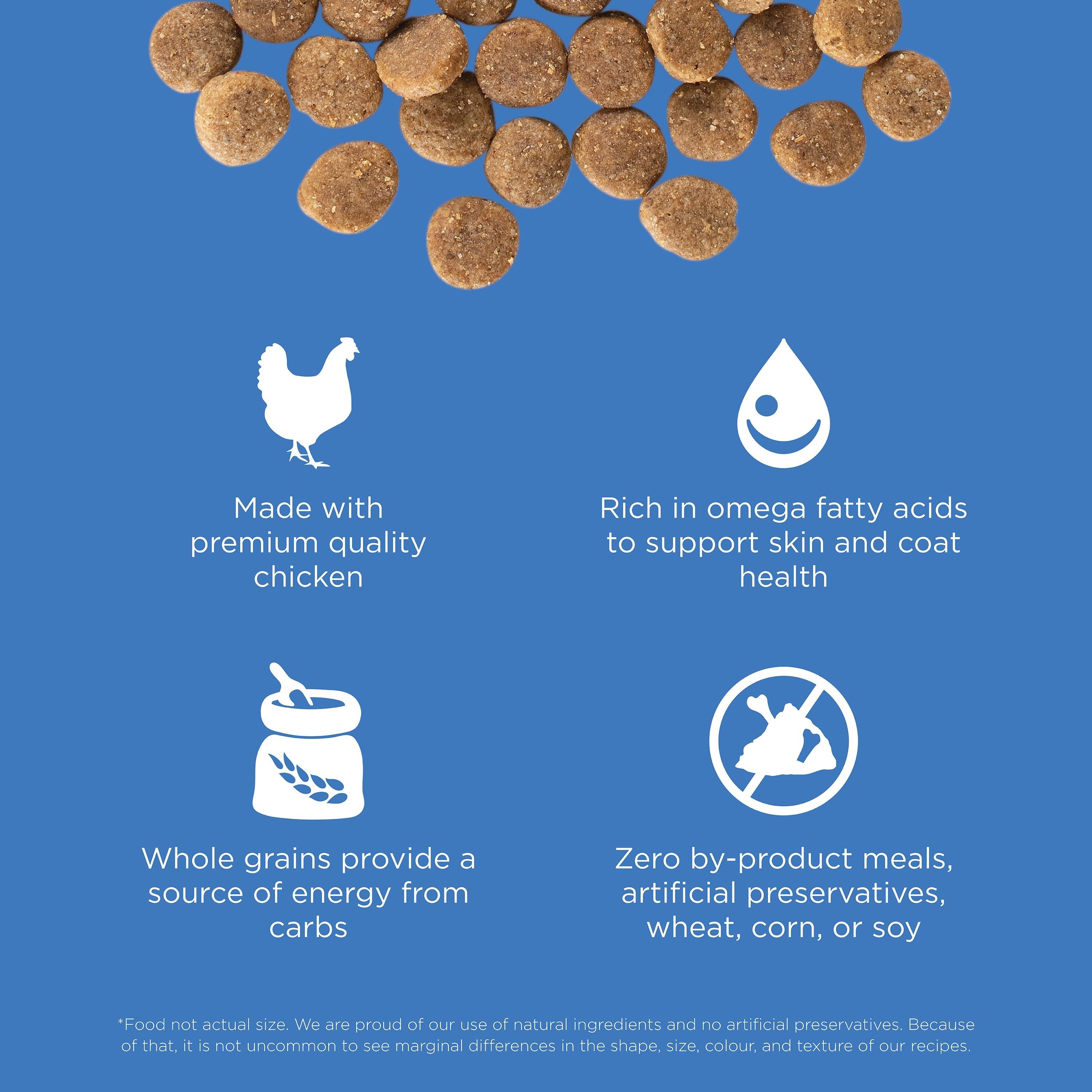 GO! SOLUTIONS SKIN + COAT CARE Chicken Recipe | 10kg