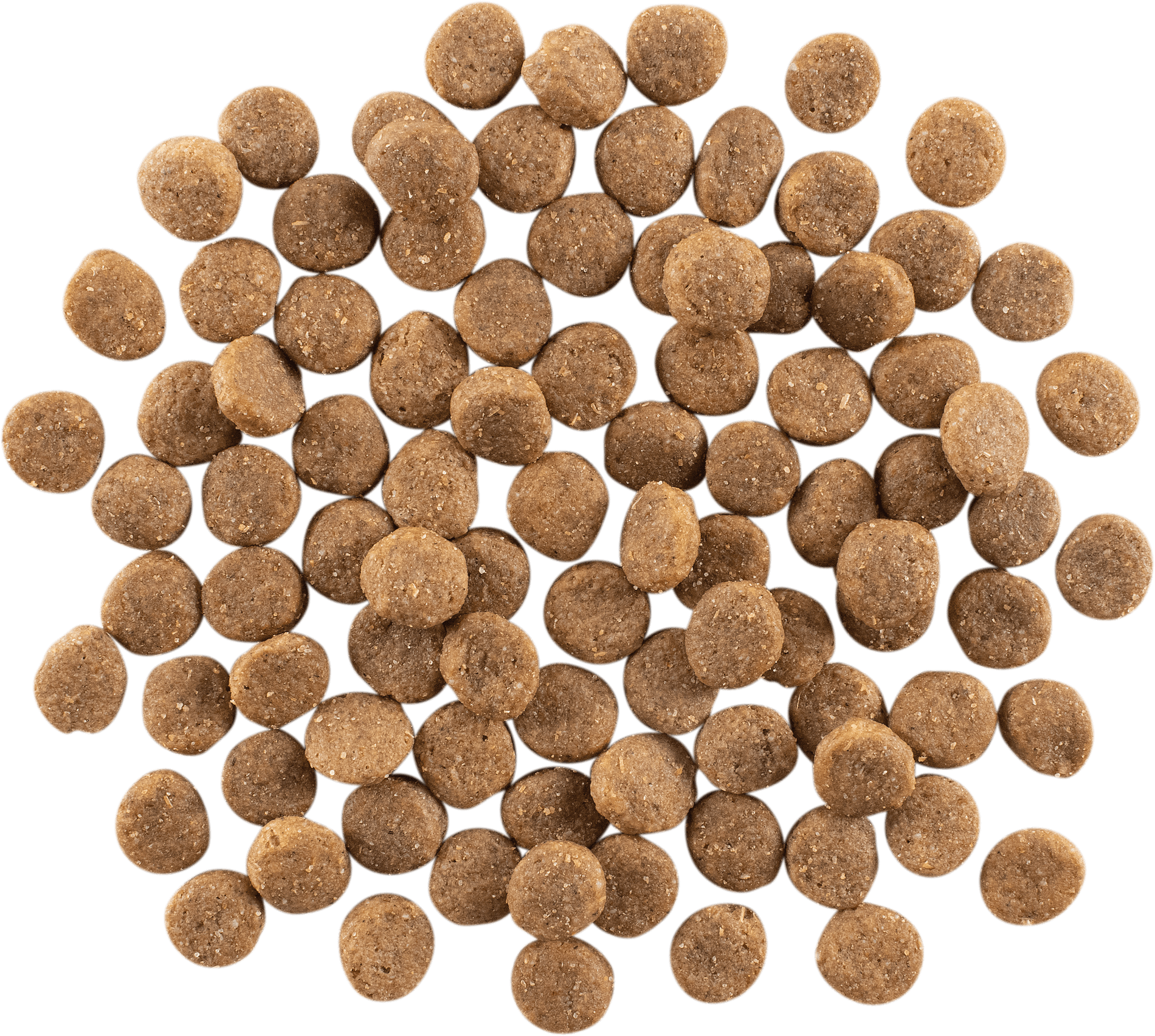 GO! SOLUTIONS SKIN + COAT CARE Chicken Recipe | 10kg