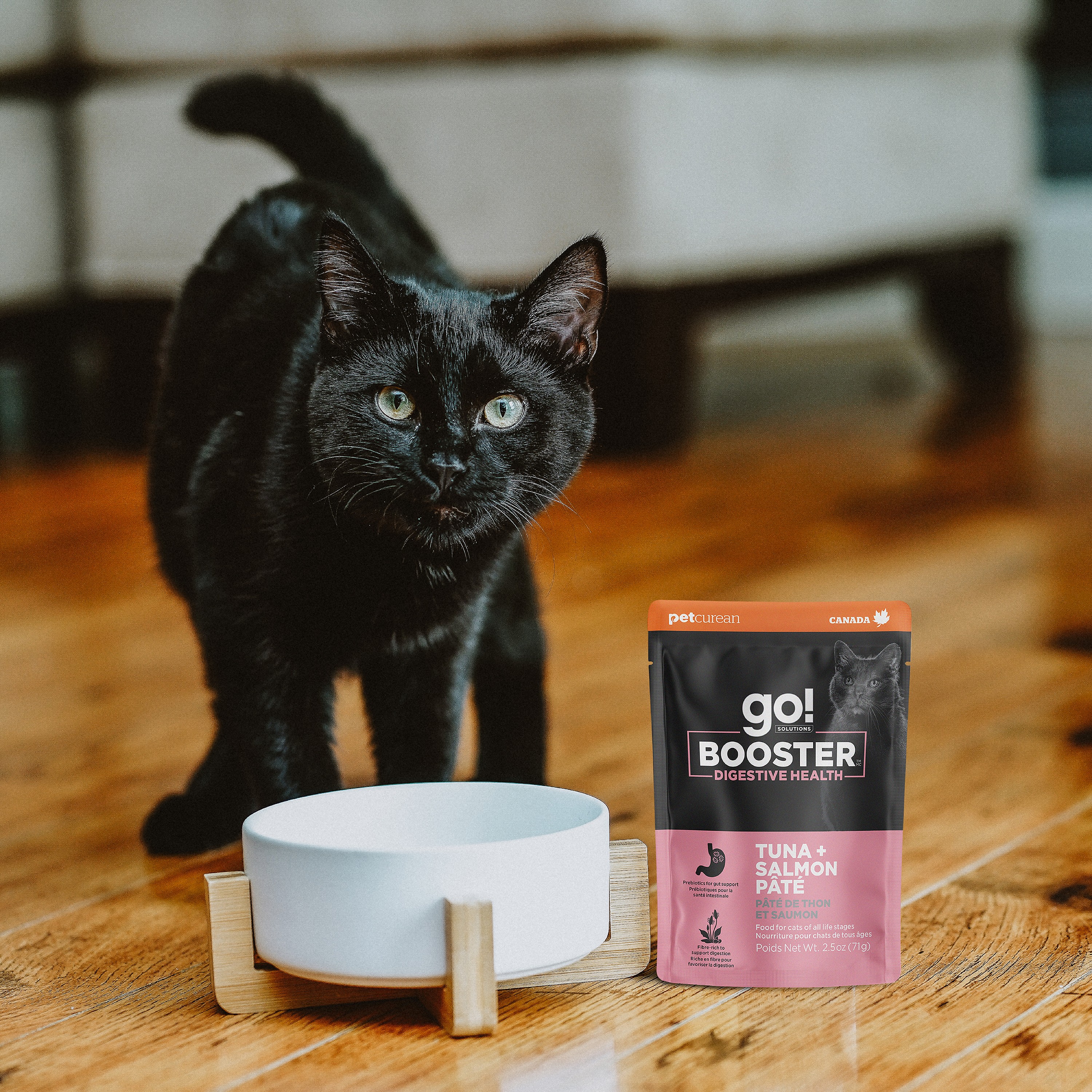 *NEW* GO! SOLUTIONS Booster Digestive Health Tuna + Salmon | 24/71g