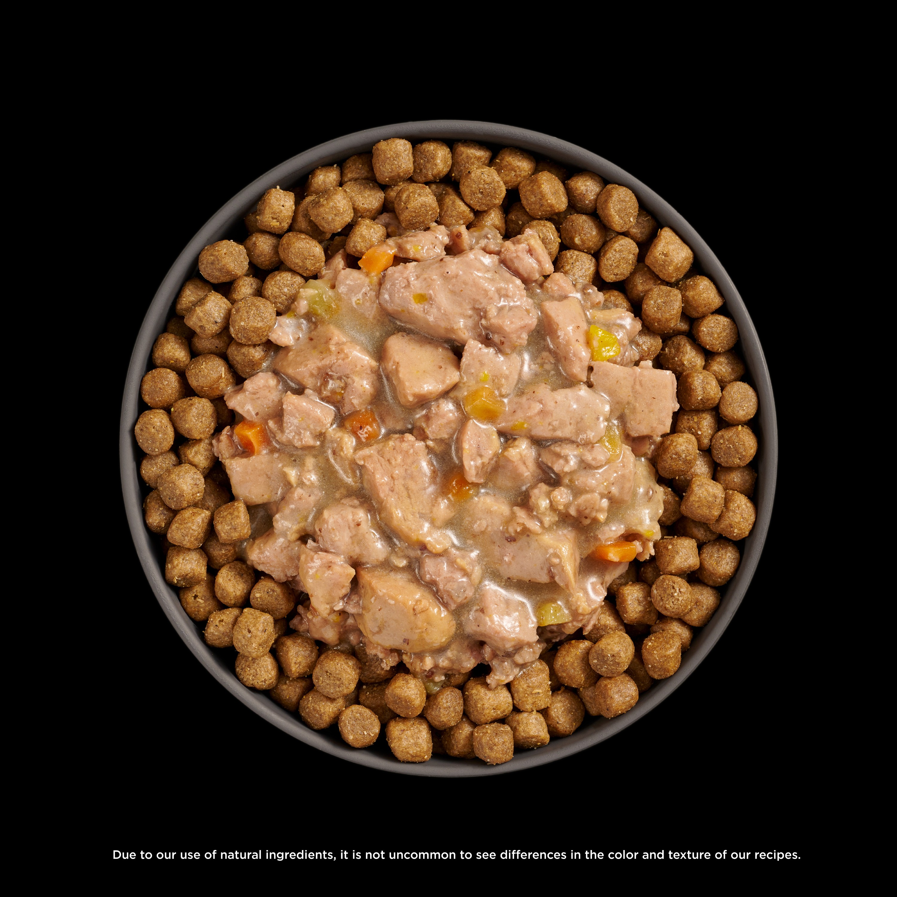 *NEW* GO! SOLUTIONS Booster Digestive Health Minced Chicken + Duck | 24/71g