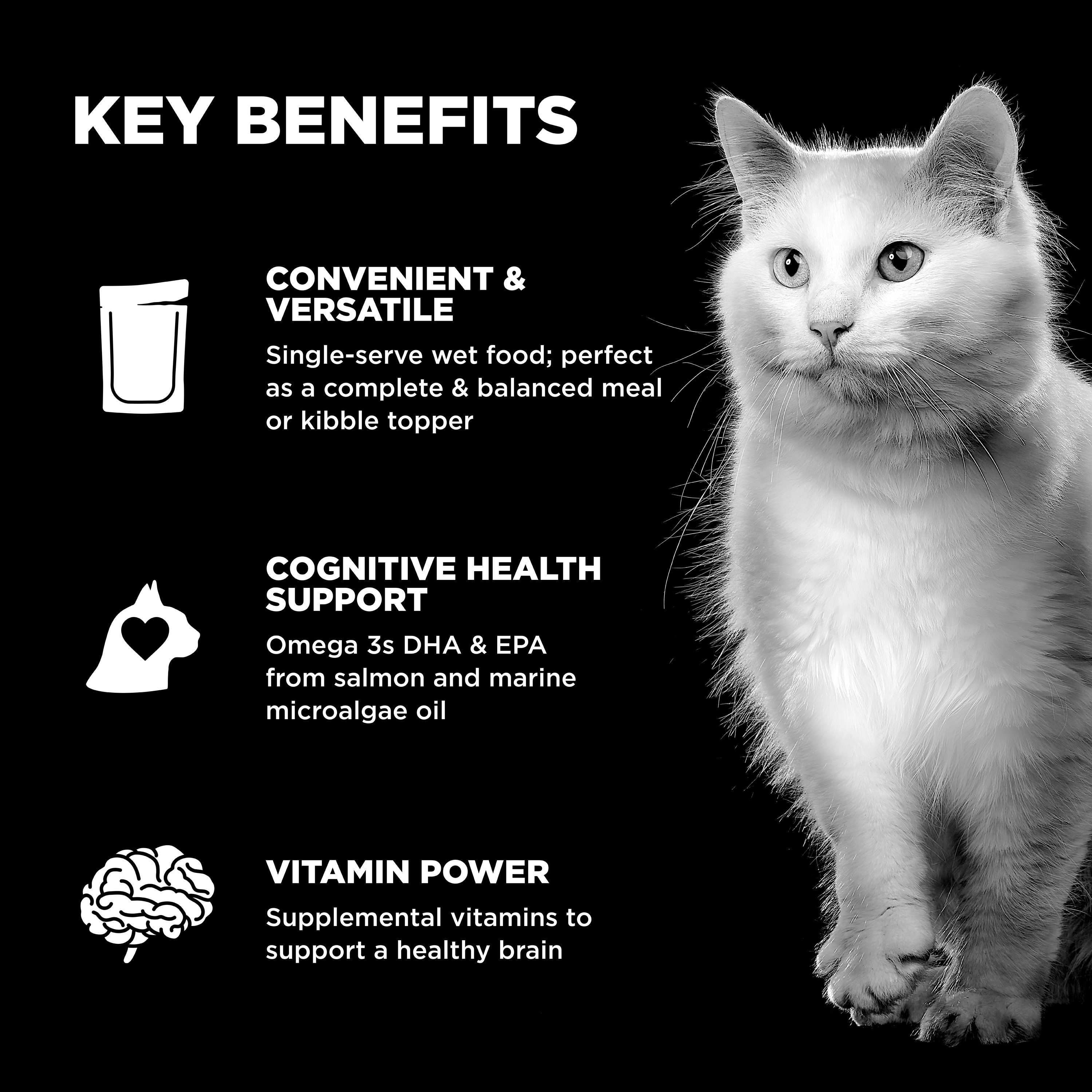 *NEW* GO! SOLUTIONS Booster Brain Health Minced Chicken + Salmon | 24/71g