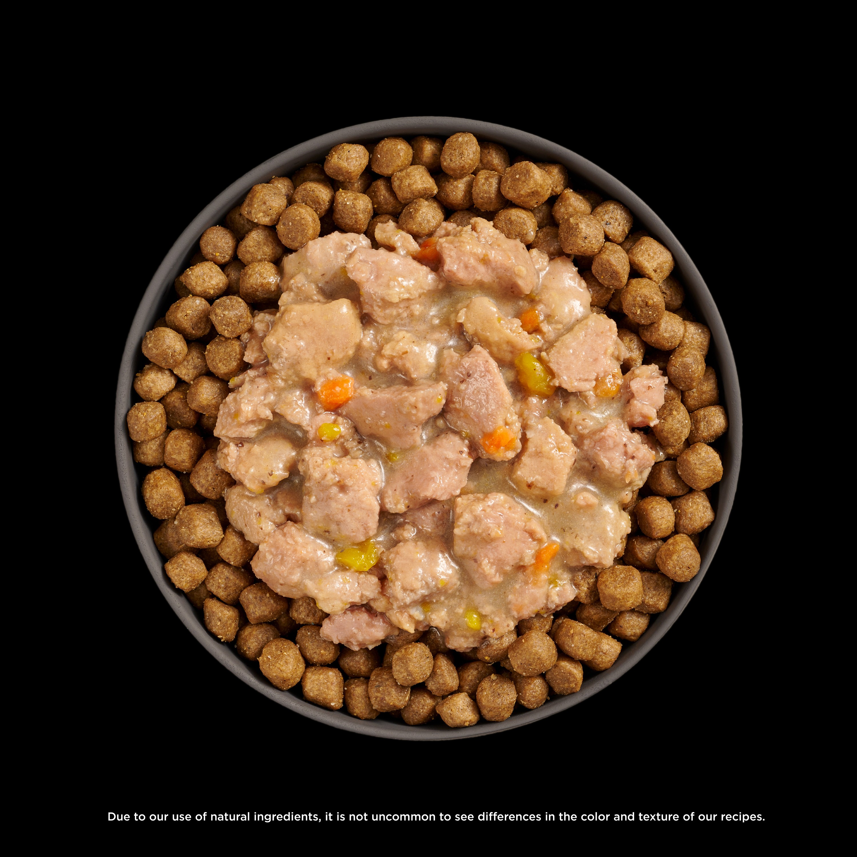 *NEW* GO! SOLUTIONS Booster Brain Health Minced Chicken + Salmon | 24/71g