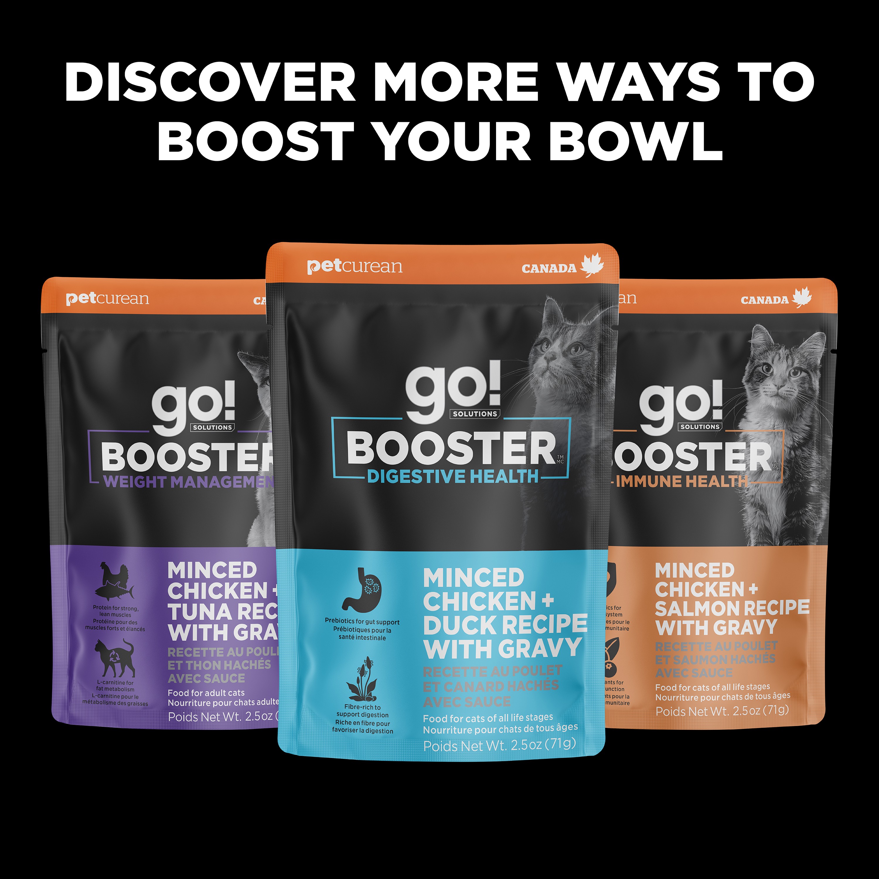 *NEW* GO! SOLUTIONS Booster Brain Health Minced Chicken + Salmon | 24/71g