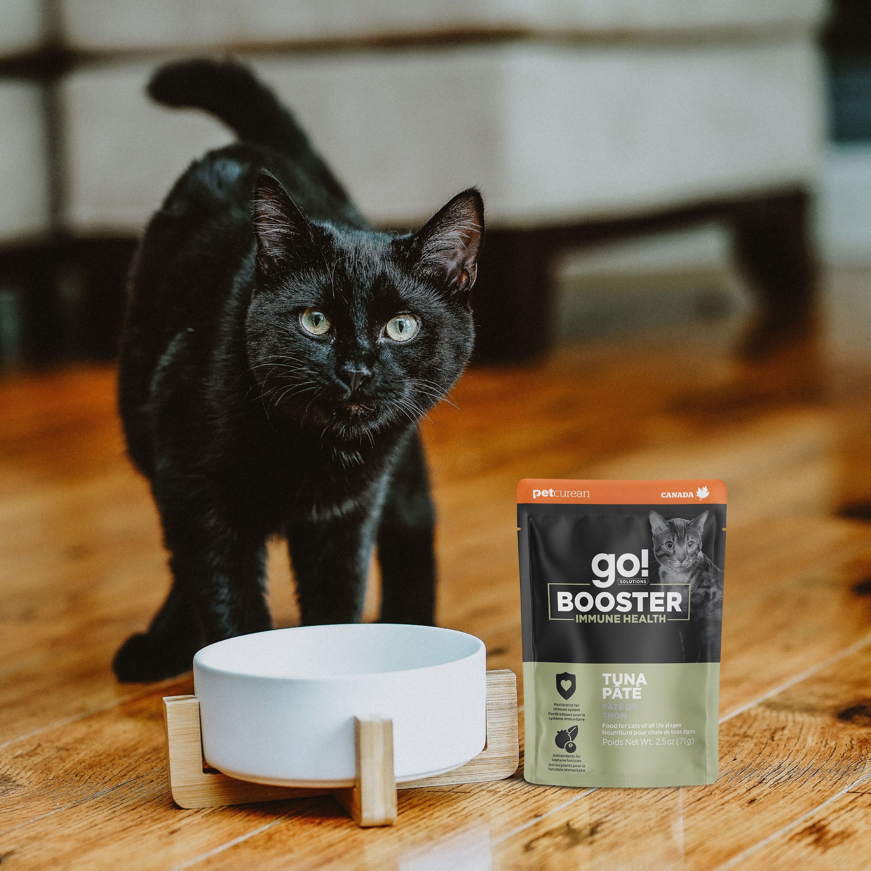 *NEW* GO! SOLUTIONS Booster Immune Health Tuna Pate | 24/71g