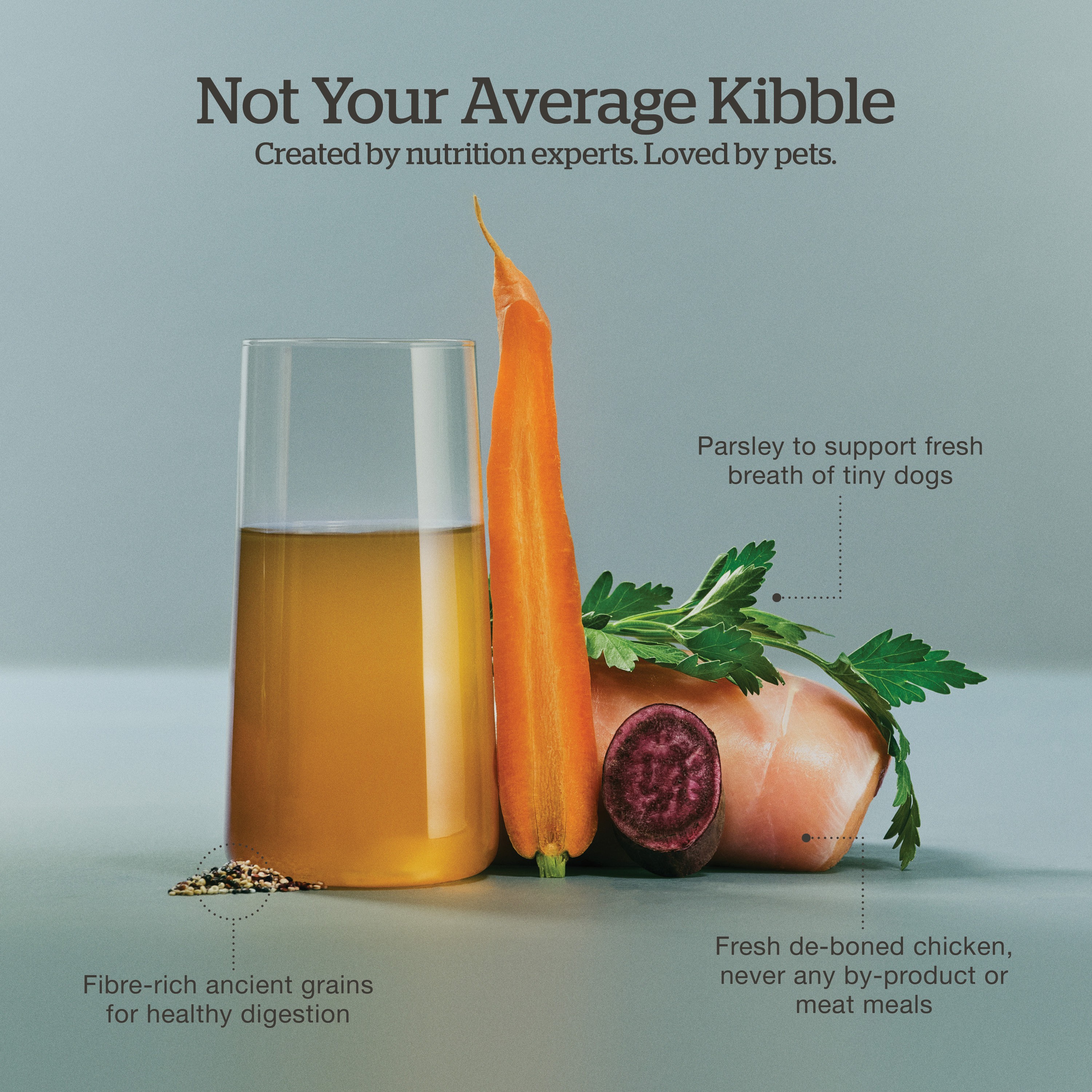 NOW FRESH Good Gravy Small Breed Adult Chicken Recipe with Ancient Grains for dogs | 5.4kg