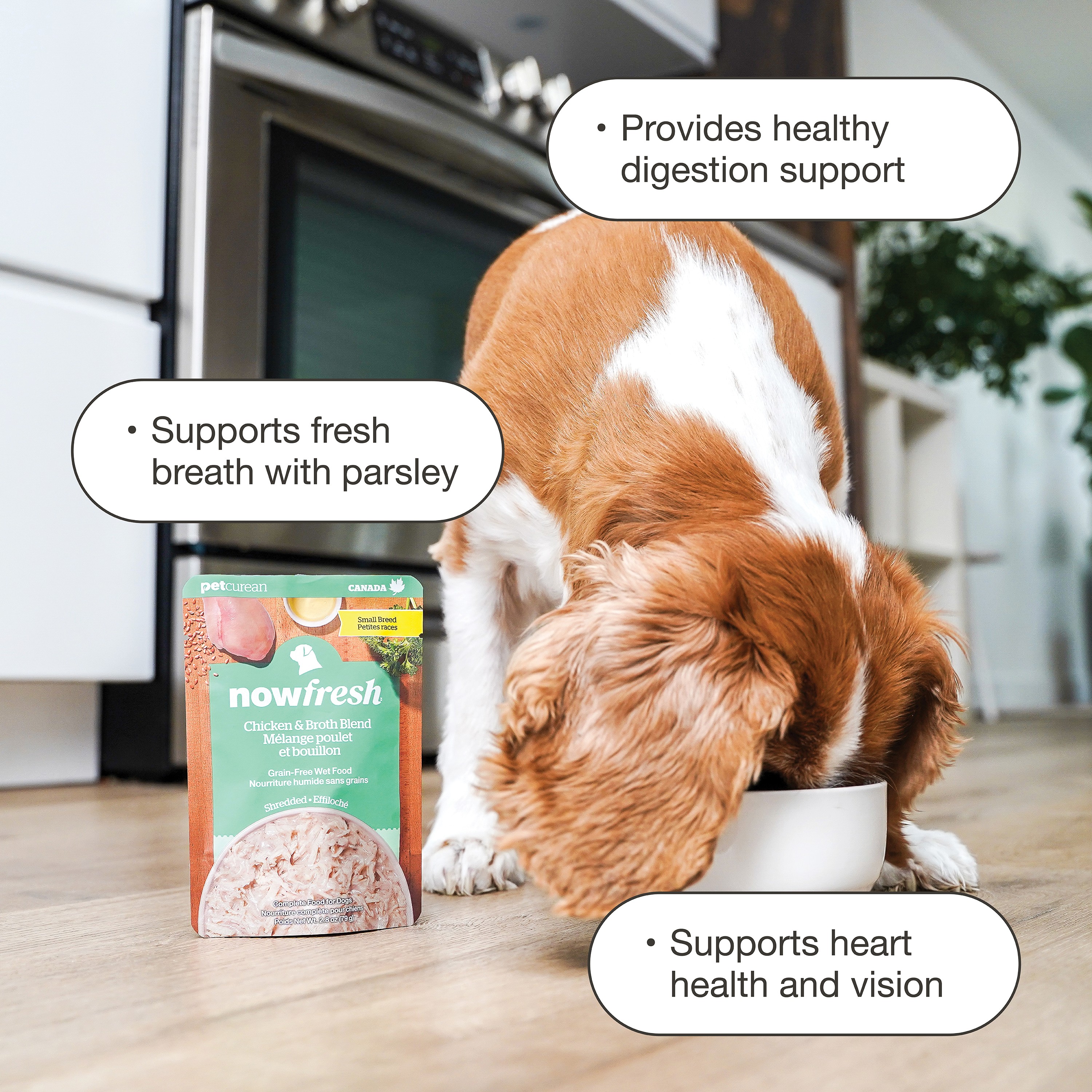 NOW FRESH Small Breed Shredded Chicken & Broth 24/79g