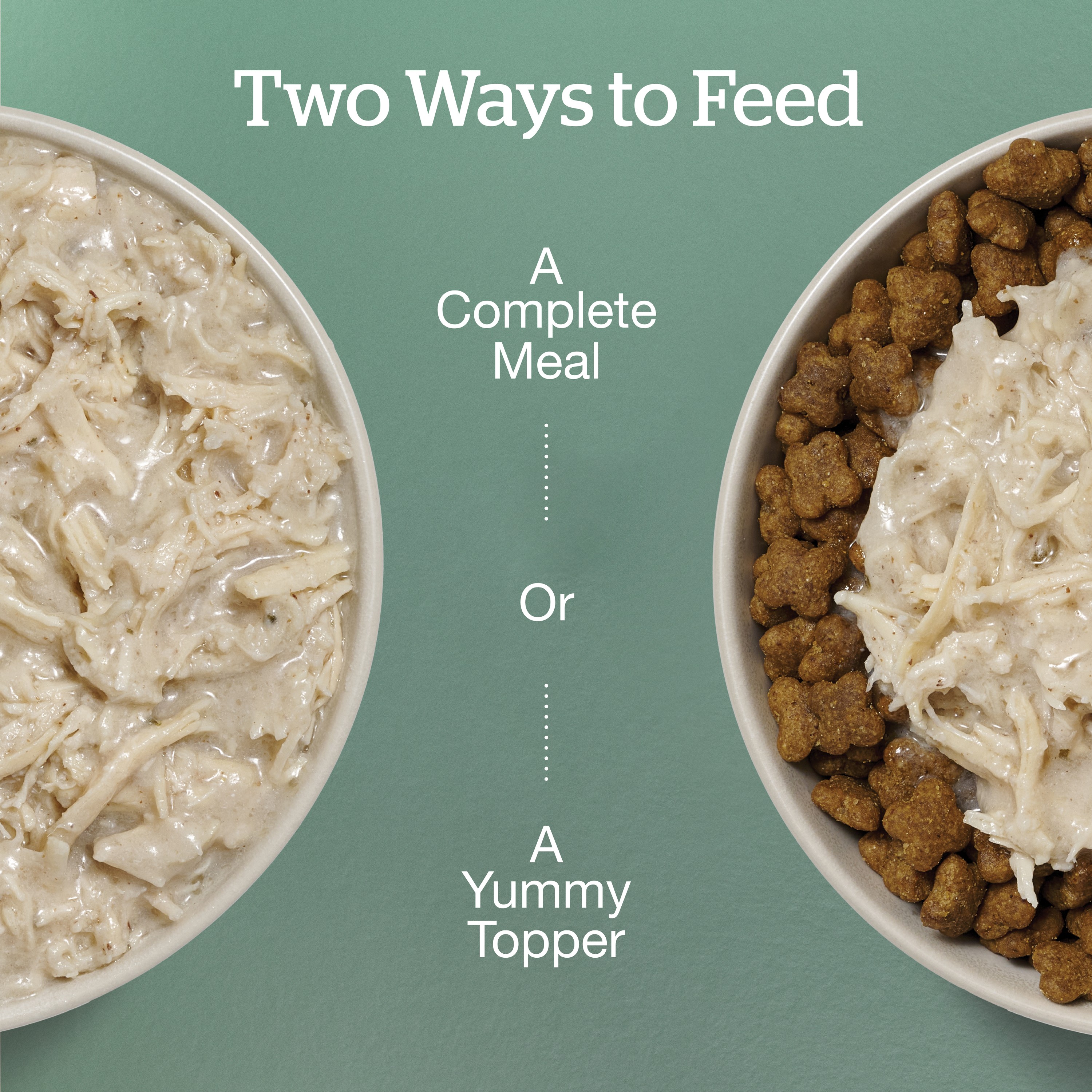 NOW FRESH Small Breed Shredded Chicken & Broth 24/79g