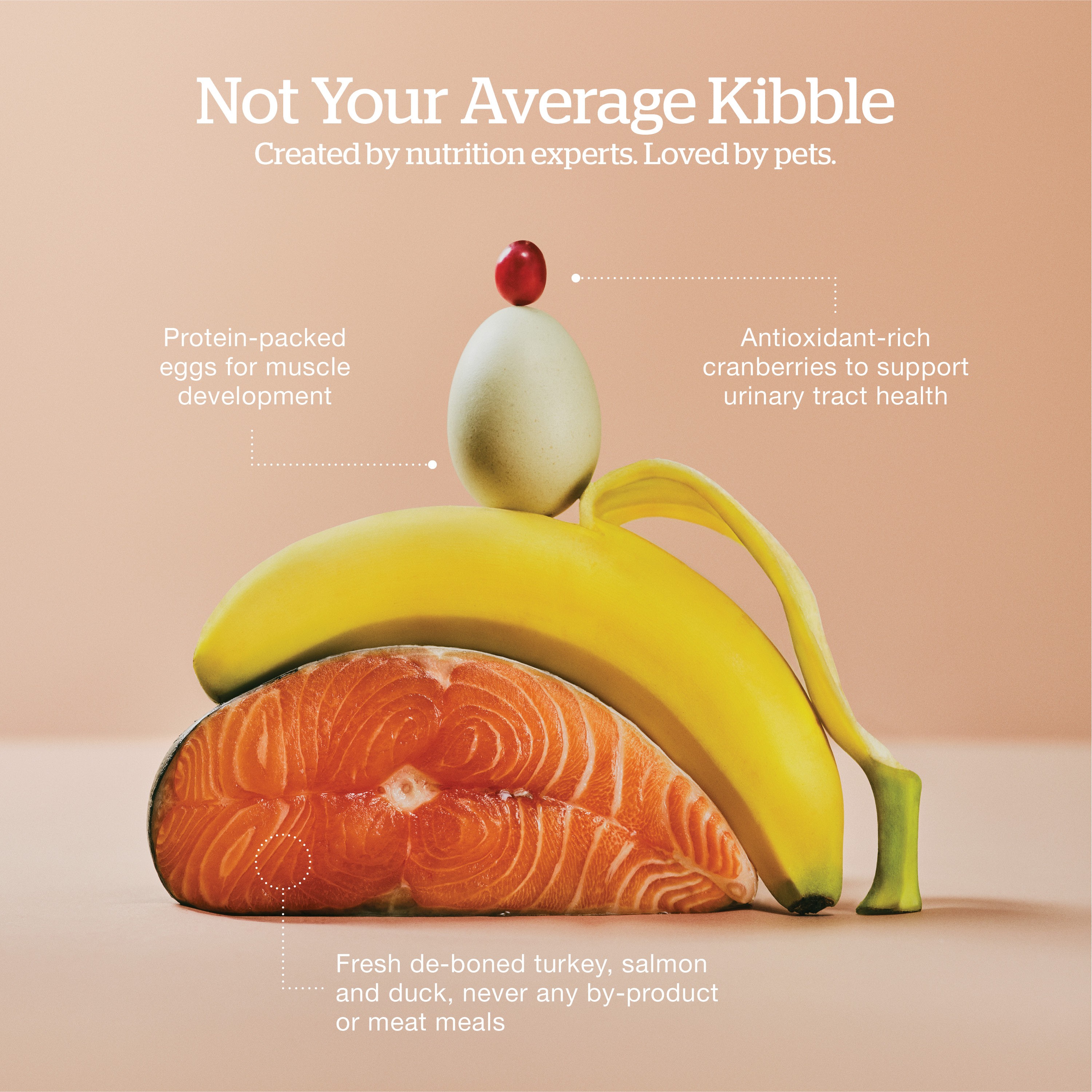 NOW FRESH Grain-Free Turkey, Salmon + Duck Adult Recipe | 3.63kg