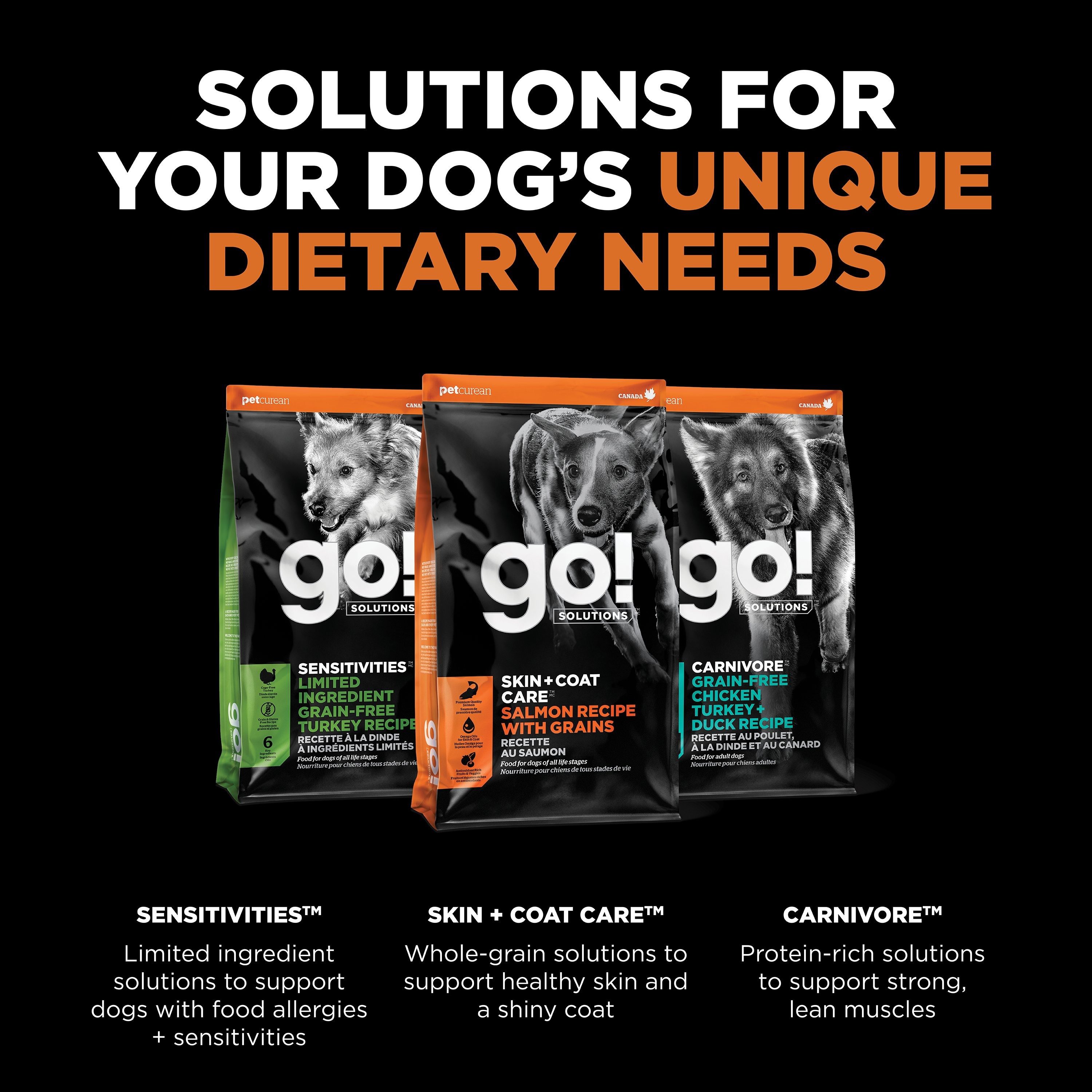 GO! SOLUTIONS SKIN + COAT CARE Salmon Recipe | 1.6kg