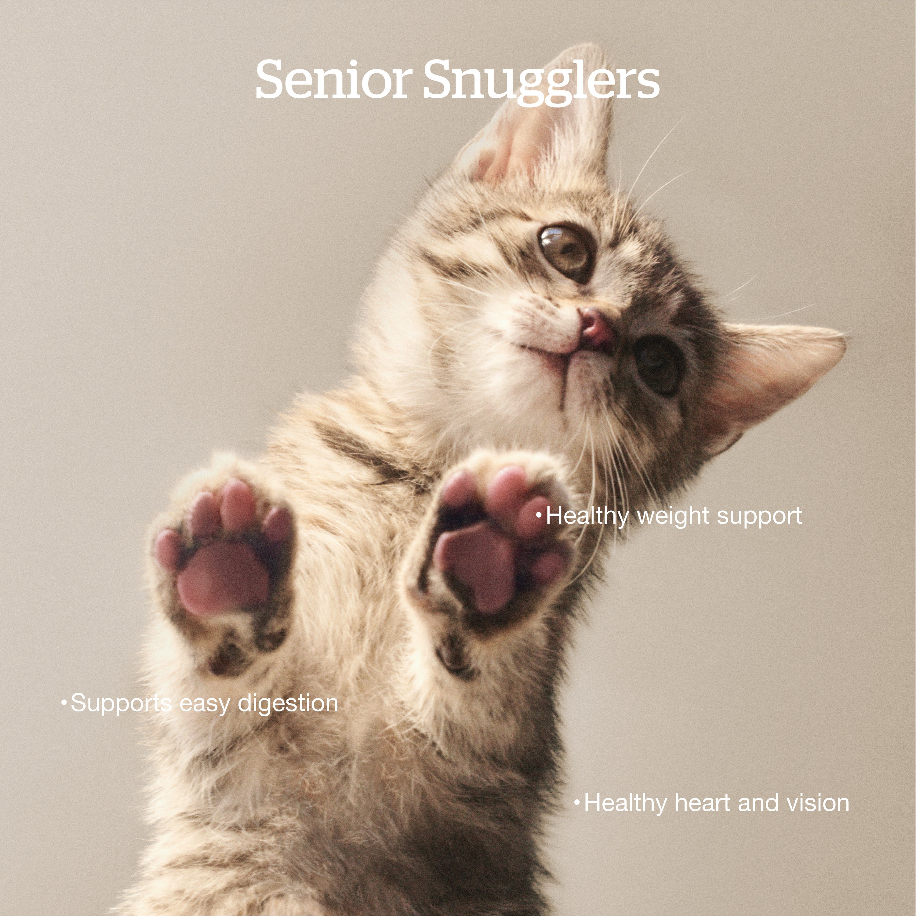 NOW FRESH Grain-Free Turkey, Salmon + Duck Senior Recipe | 3.63kg