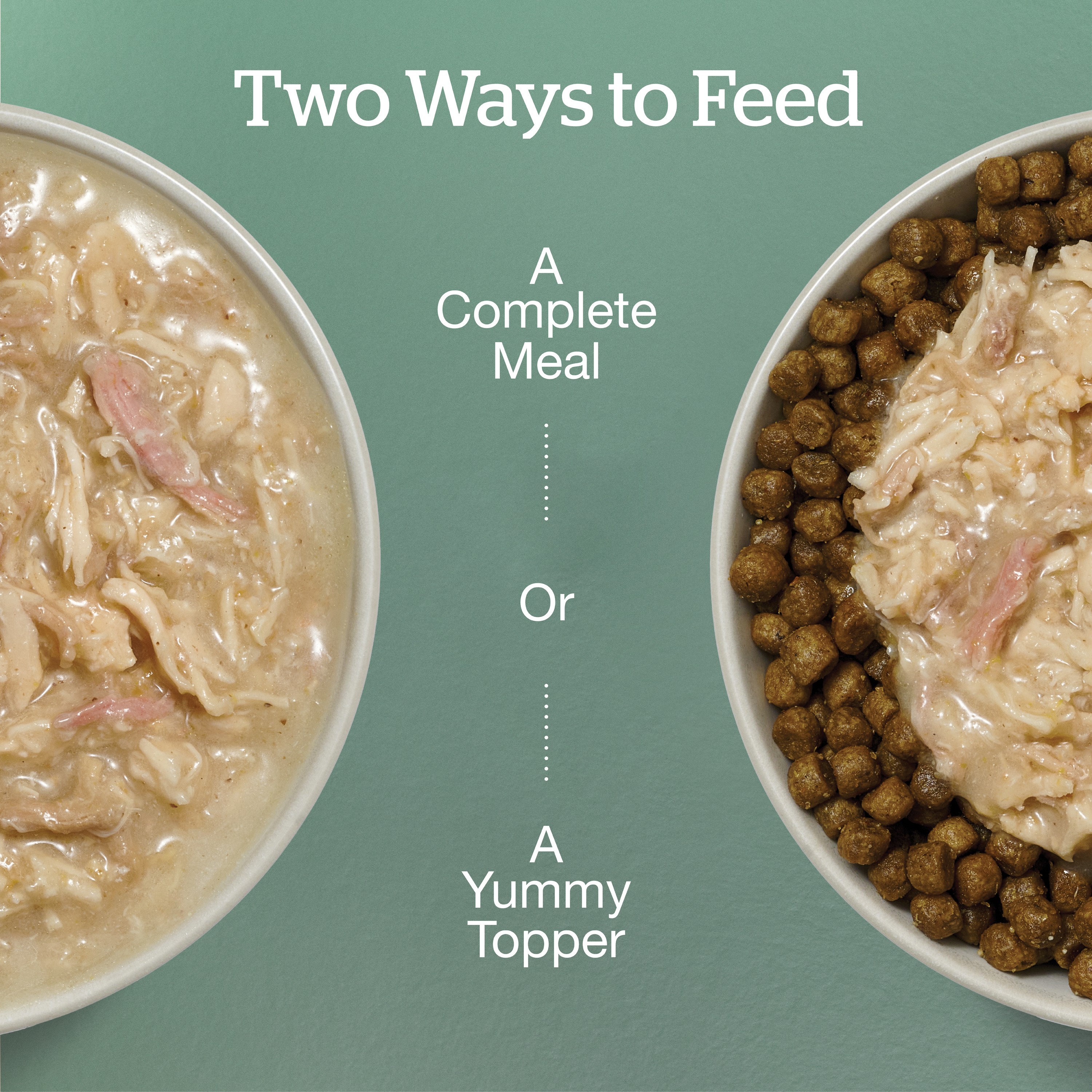 NOW FRESH Shredded Chicken, Duck & Broth Adult CF | 24/71g