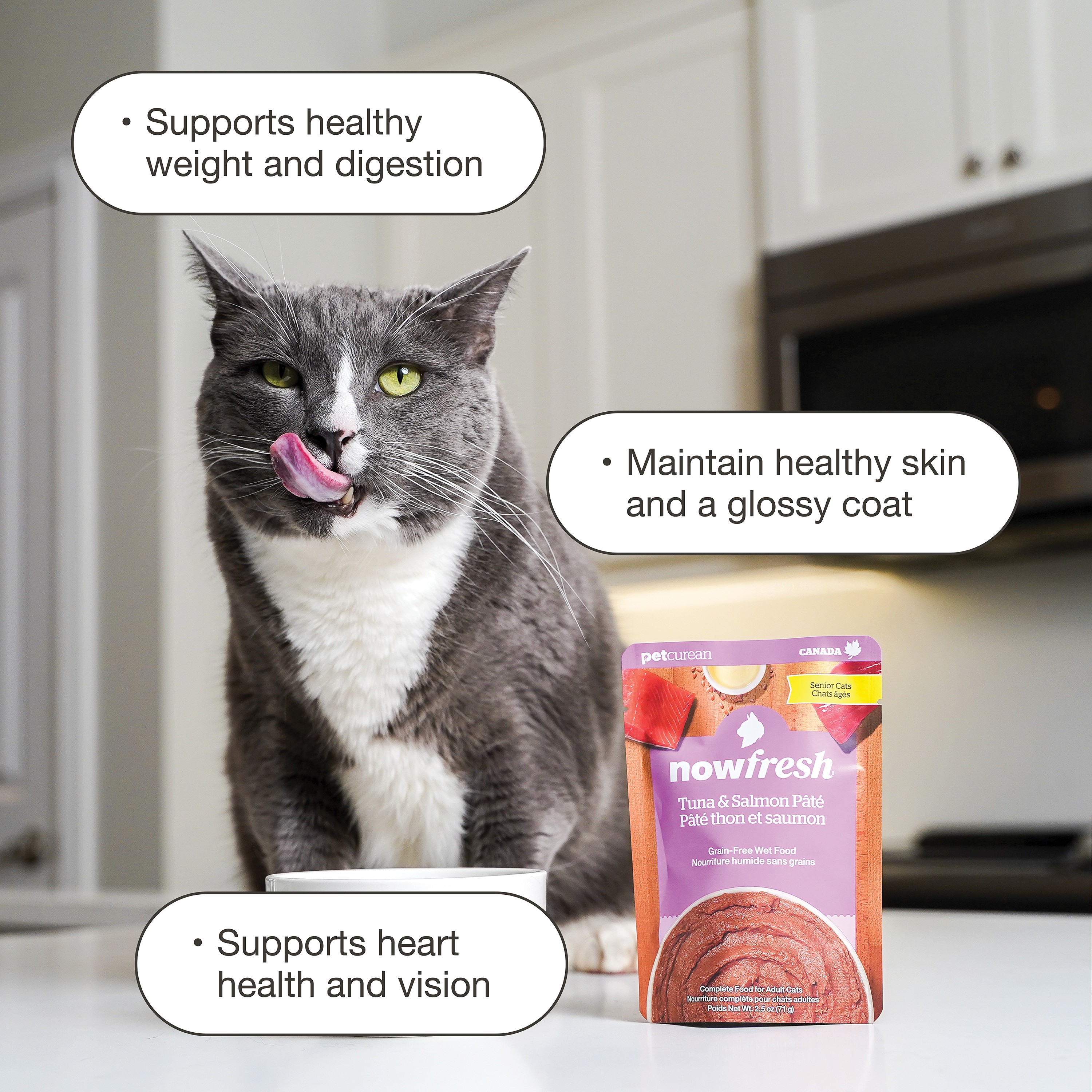 NOW FRESH Tuna, Salmon Pate Senior CF | 24/71g
