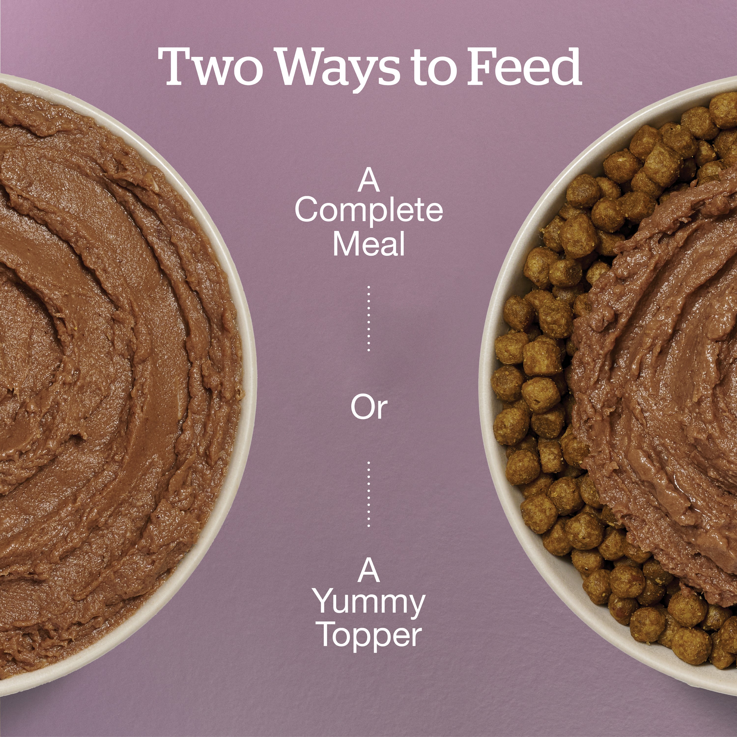 NOW FRESH Tuna, Salmon Pate Senior CF | 24/71g